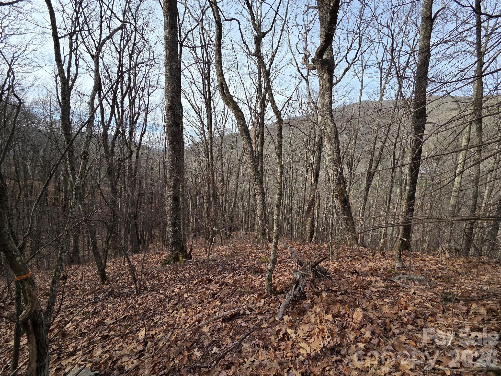 Buckeye Woodlands - Land