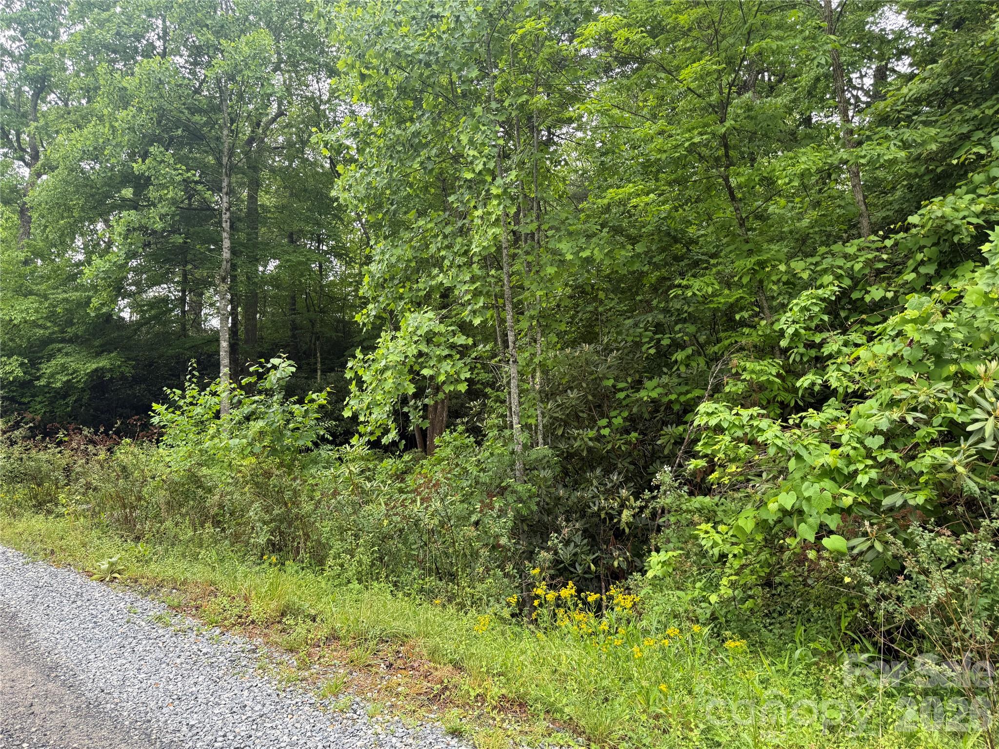 TBD Dogwood Trail