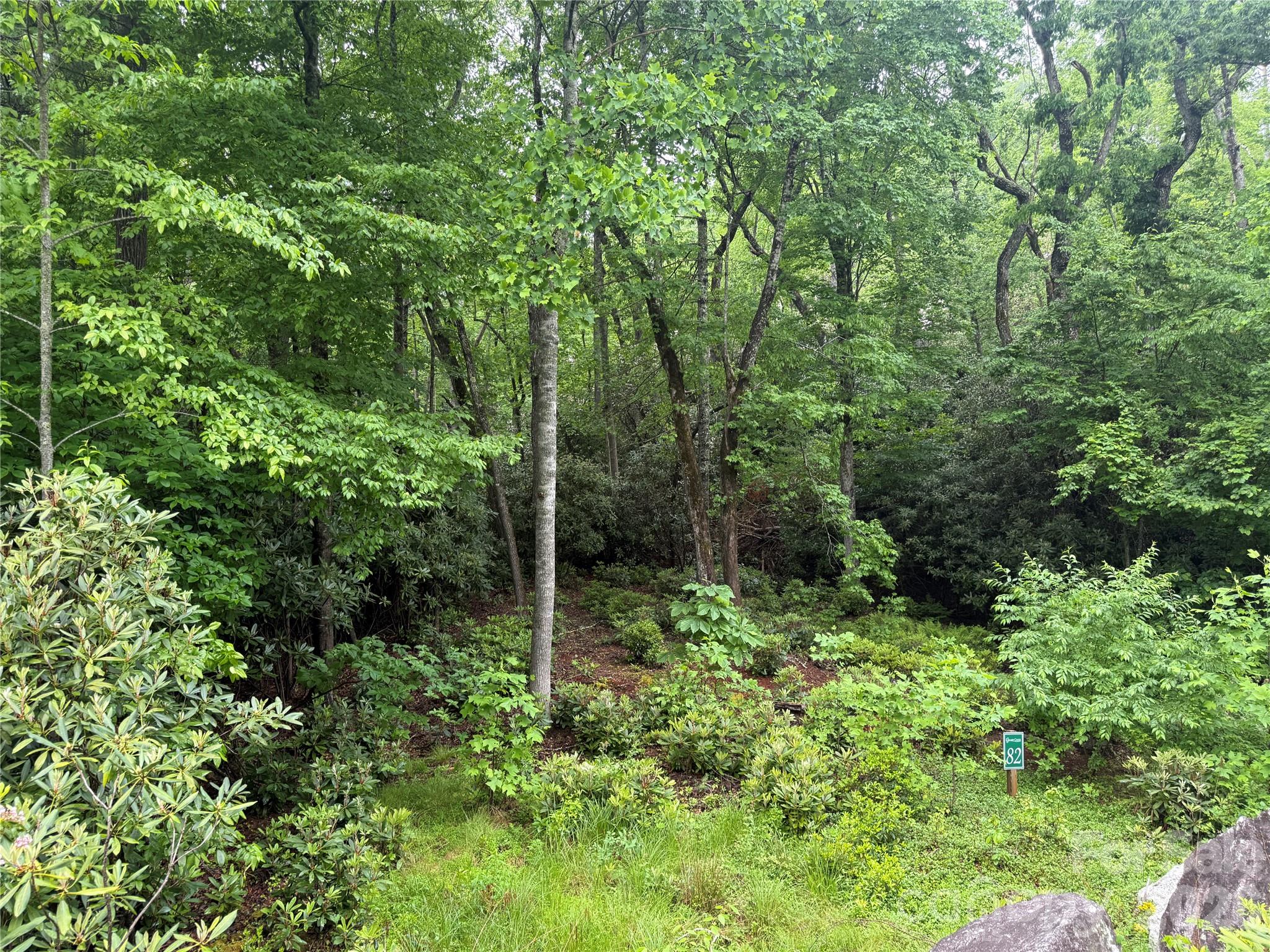 TBD Dogwood Trail