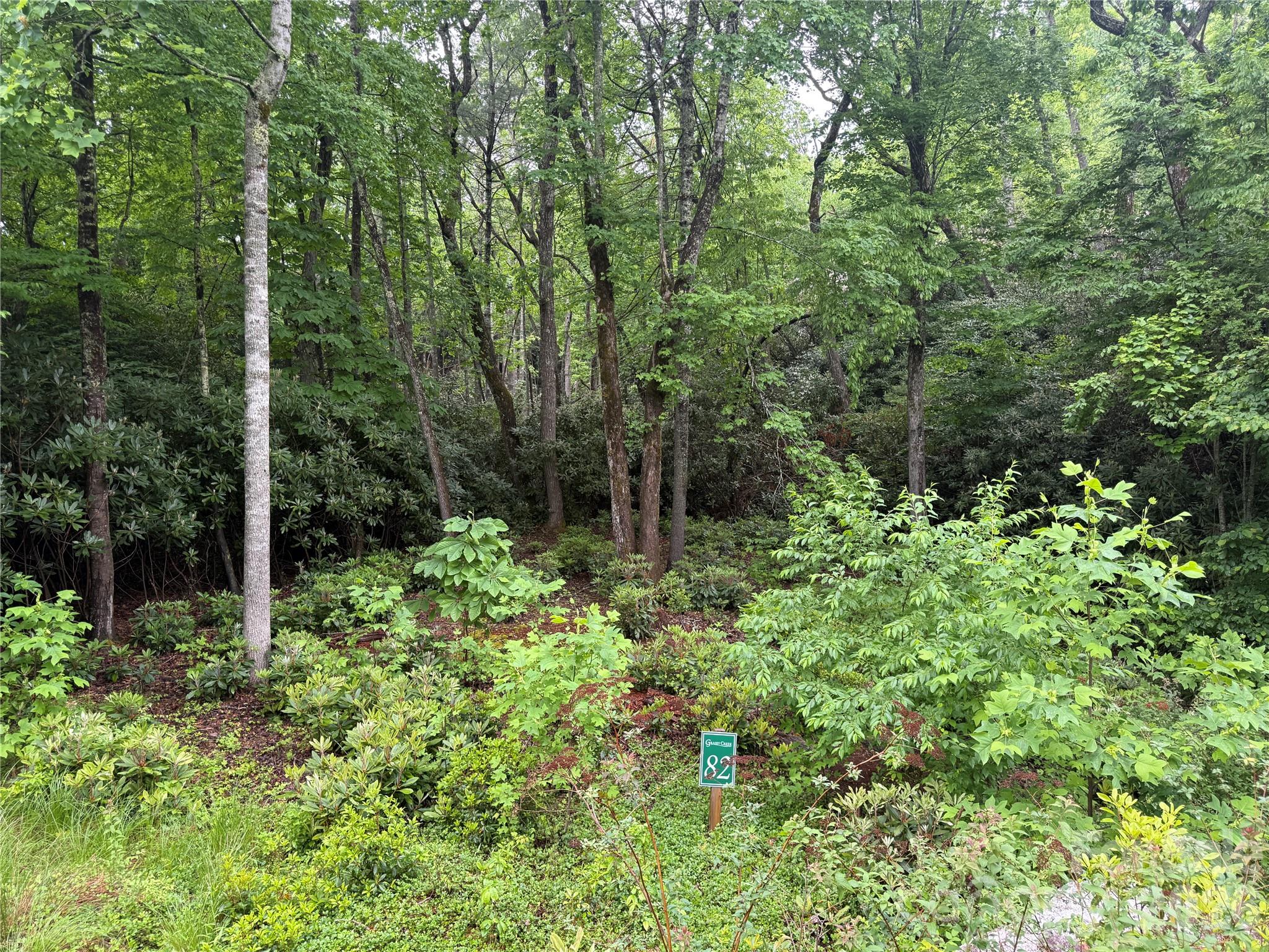 TBD Dogwood Trail