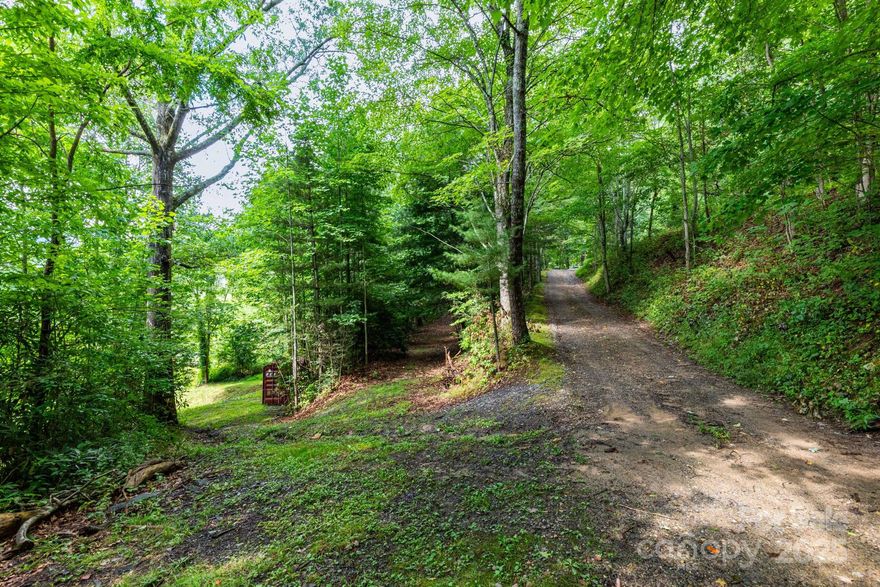 Ready to build a house maybe even two? Have you been looking for great lot for your RV? Improvements are already in place, including a private well, power/electricity (to be put in shortly), and a current 3-bedroom and 2 bedroom septic. This beautifal easy year round access lot has the major work already done for you saving you time and money. Minutes away from the "Great Smoky National Park" and no restrictions or HOA. Unrestricted lot that also gives you privacy and the ability to do what you want. Views would be stunning with some minor tree work to truly open up the views for miles. Property boundaries are well marked. Do not let the oppurtunity pass you by and schedule your showing today!