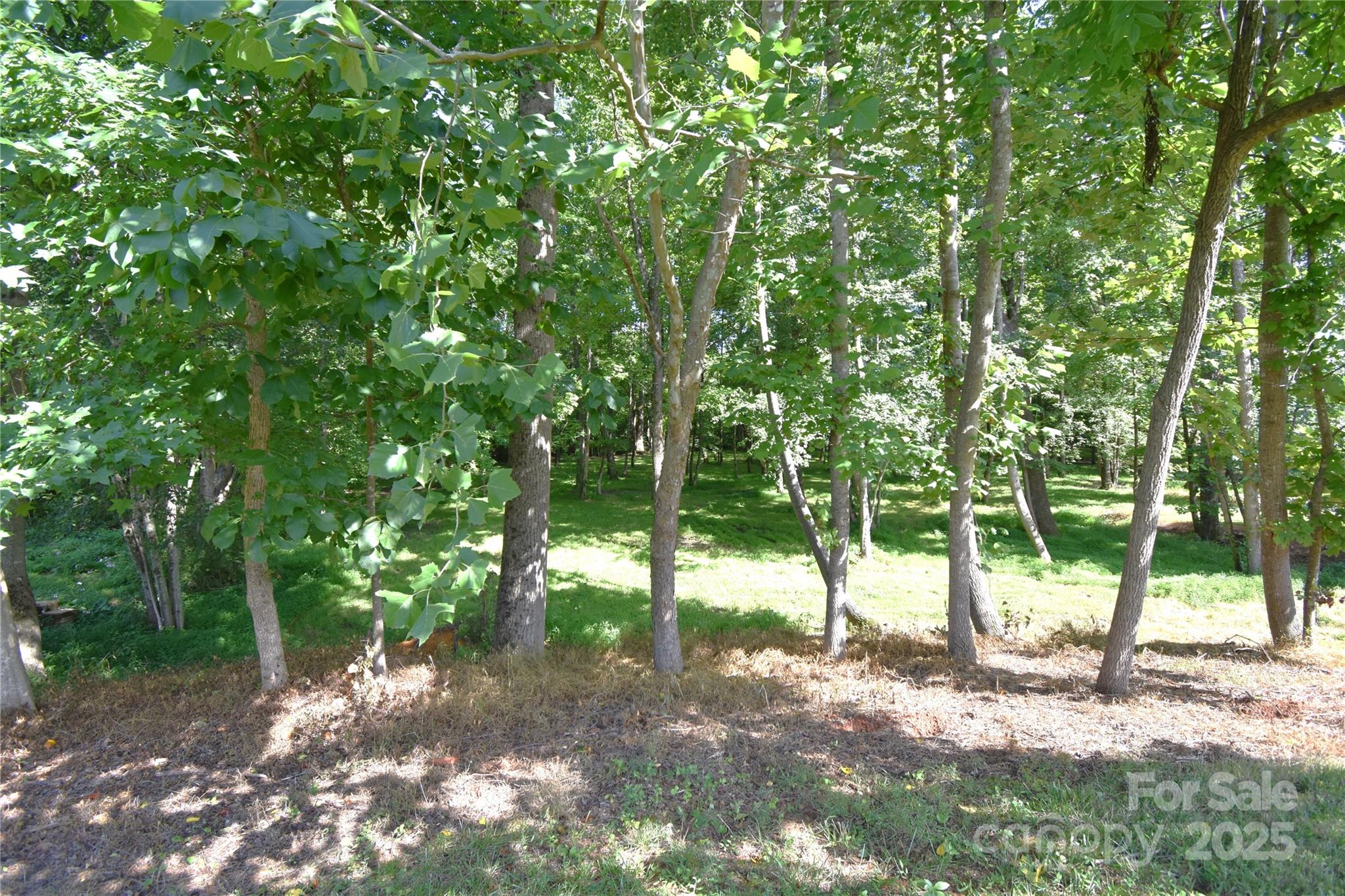 Belleview Acres - Residential