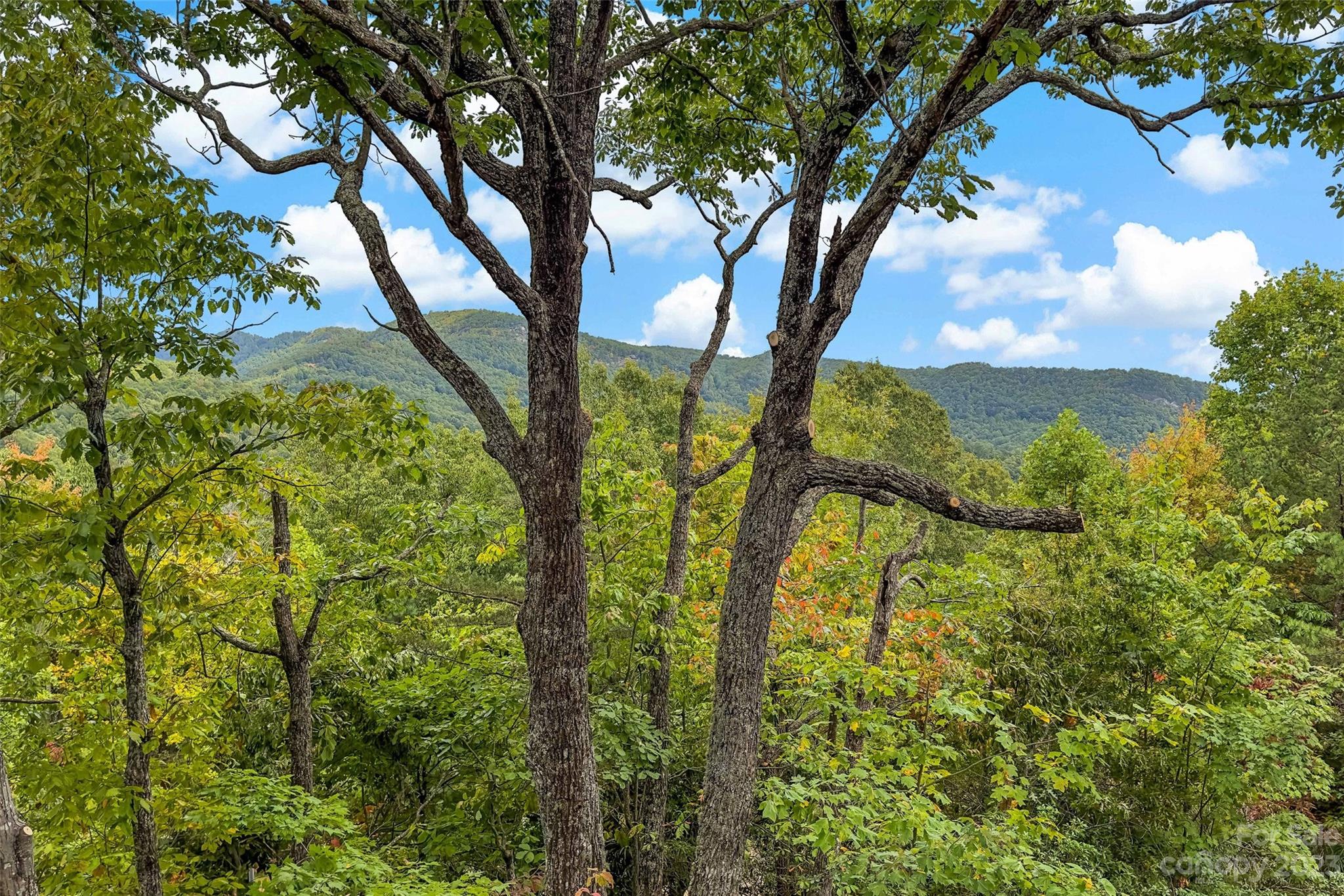 Gateway Mountain - Residential