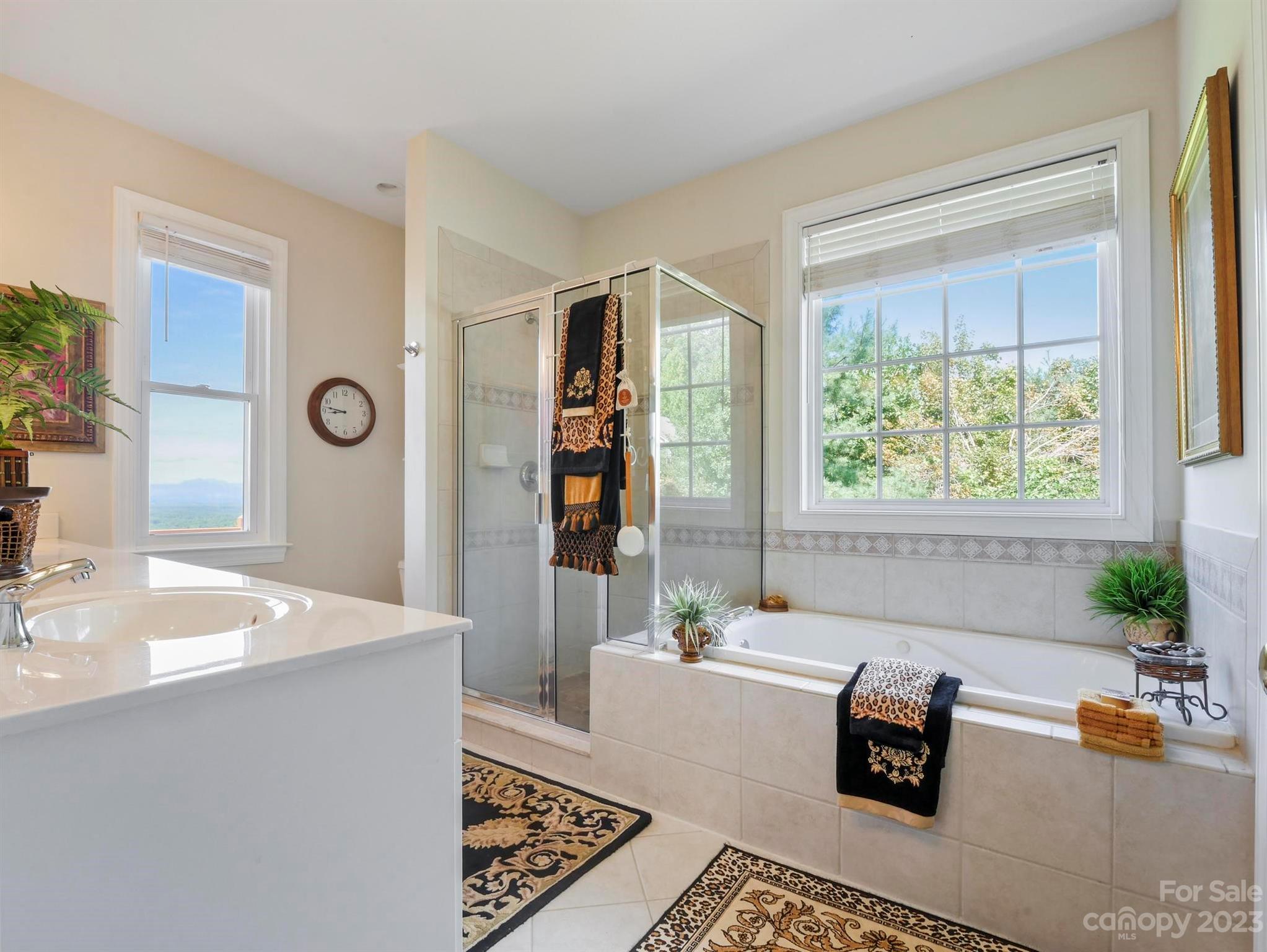 The Views of Asheville - Residential