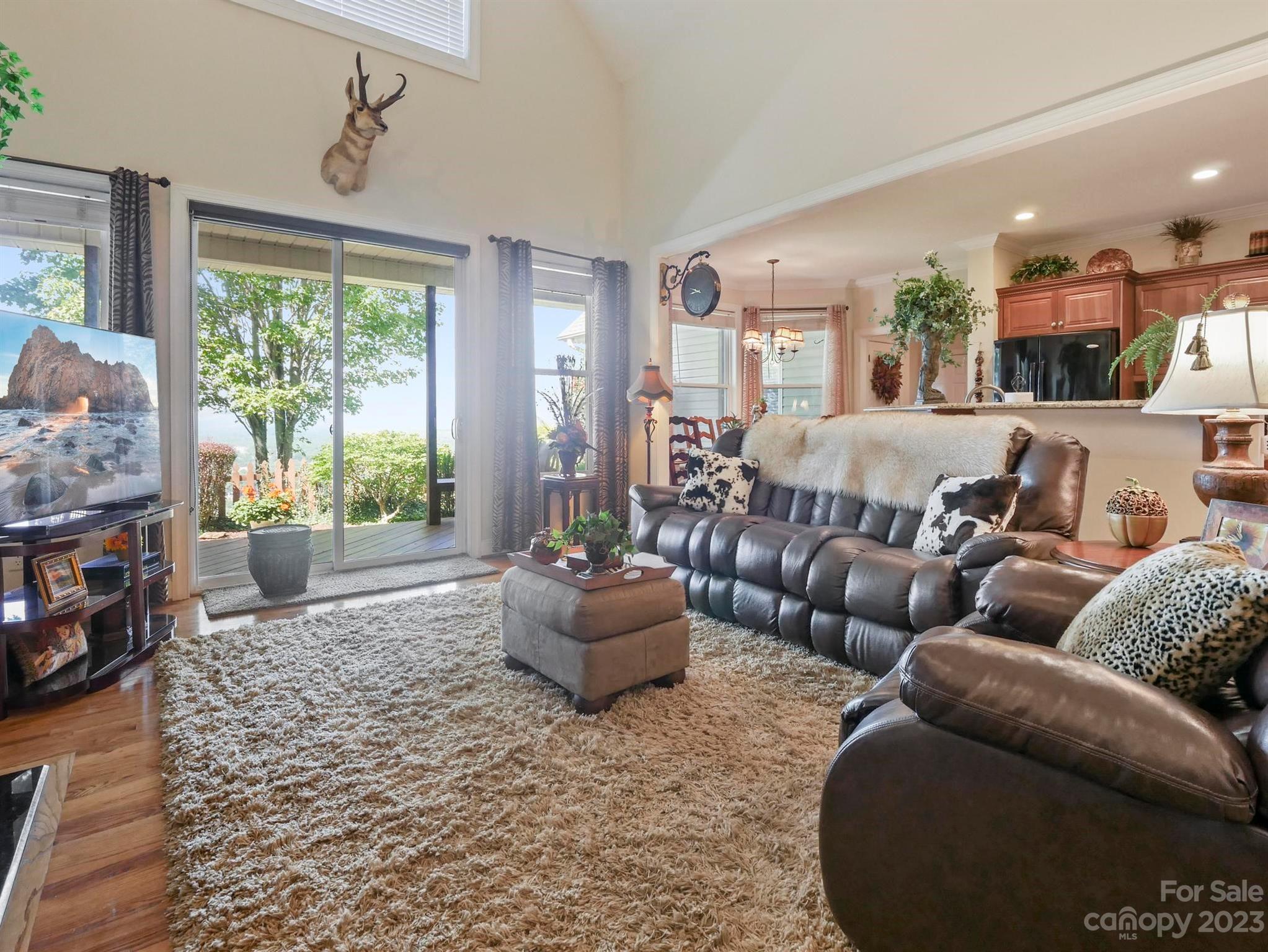 The Views of Asheville - Residential