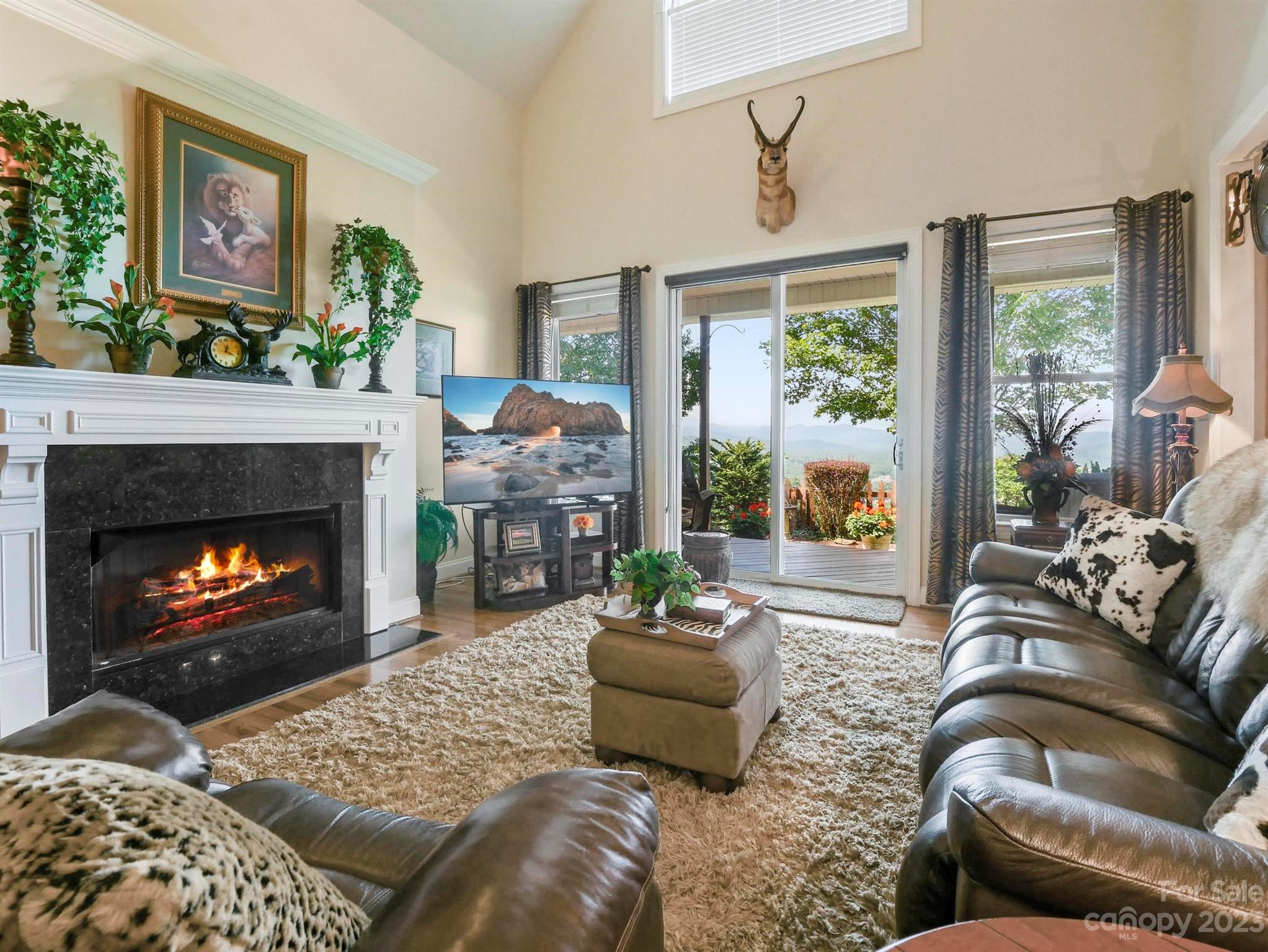 The Views of Asheville - Residential