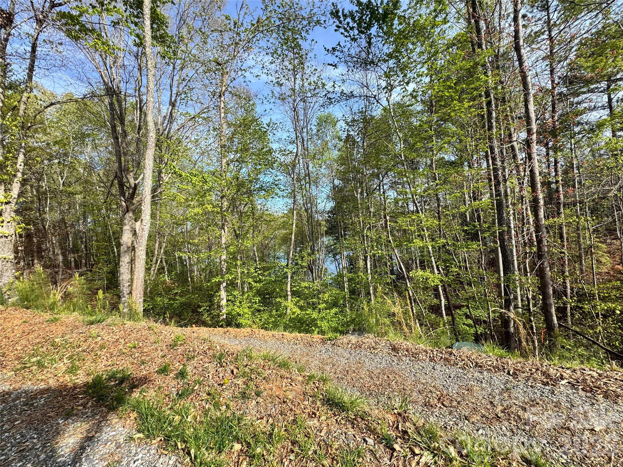 Paradise Harbor - Residential
