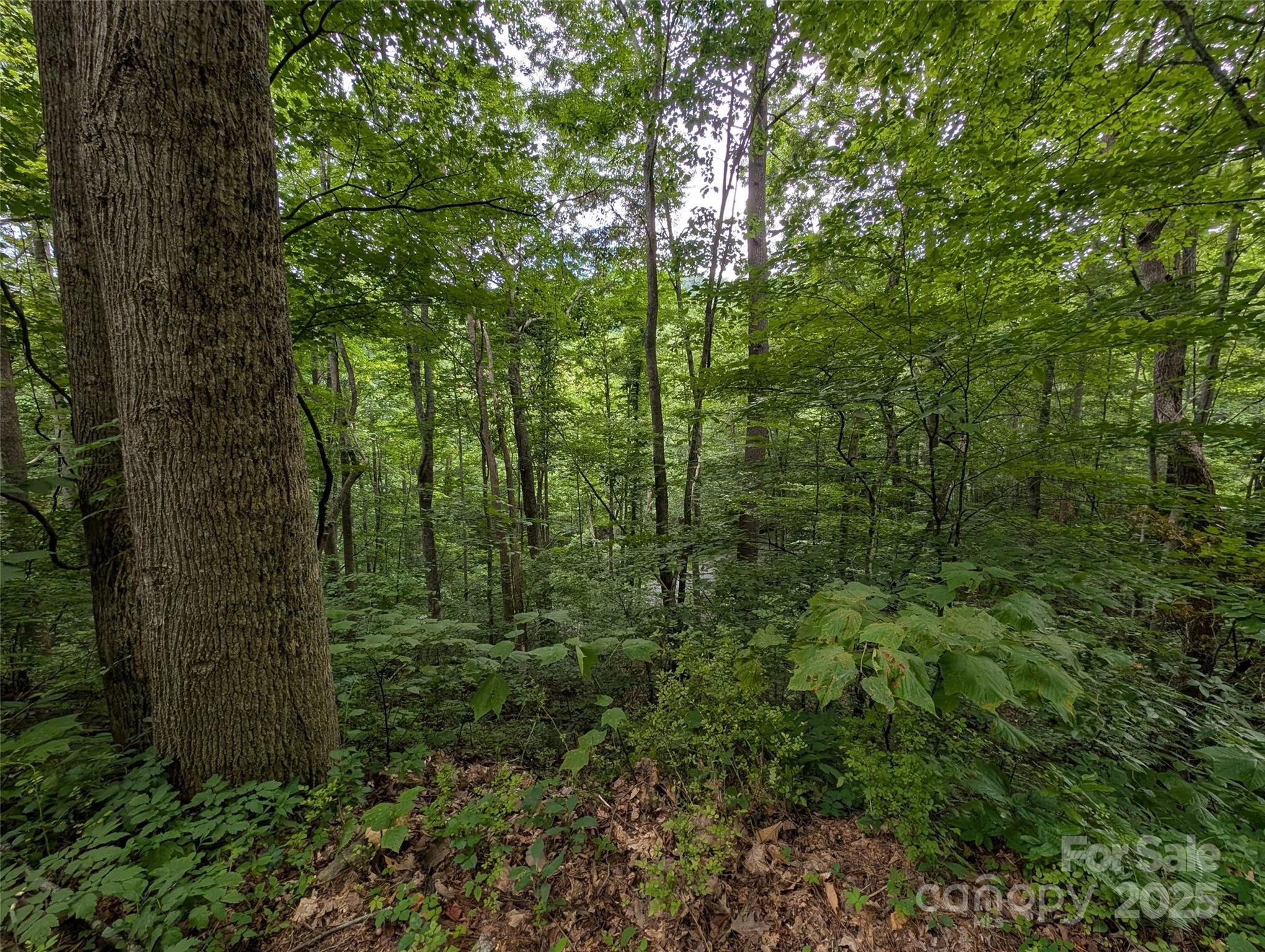99999 Whispering Woods Path 44