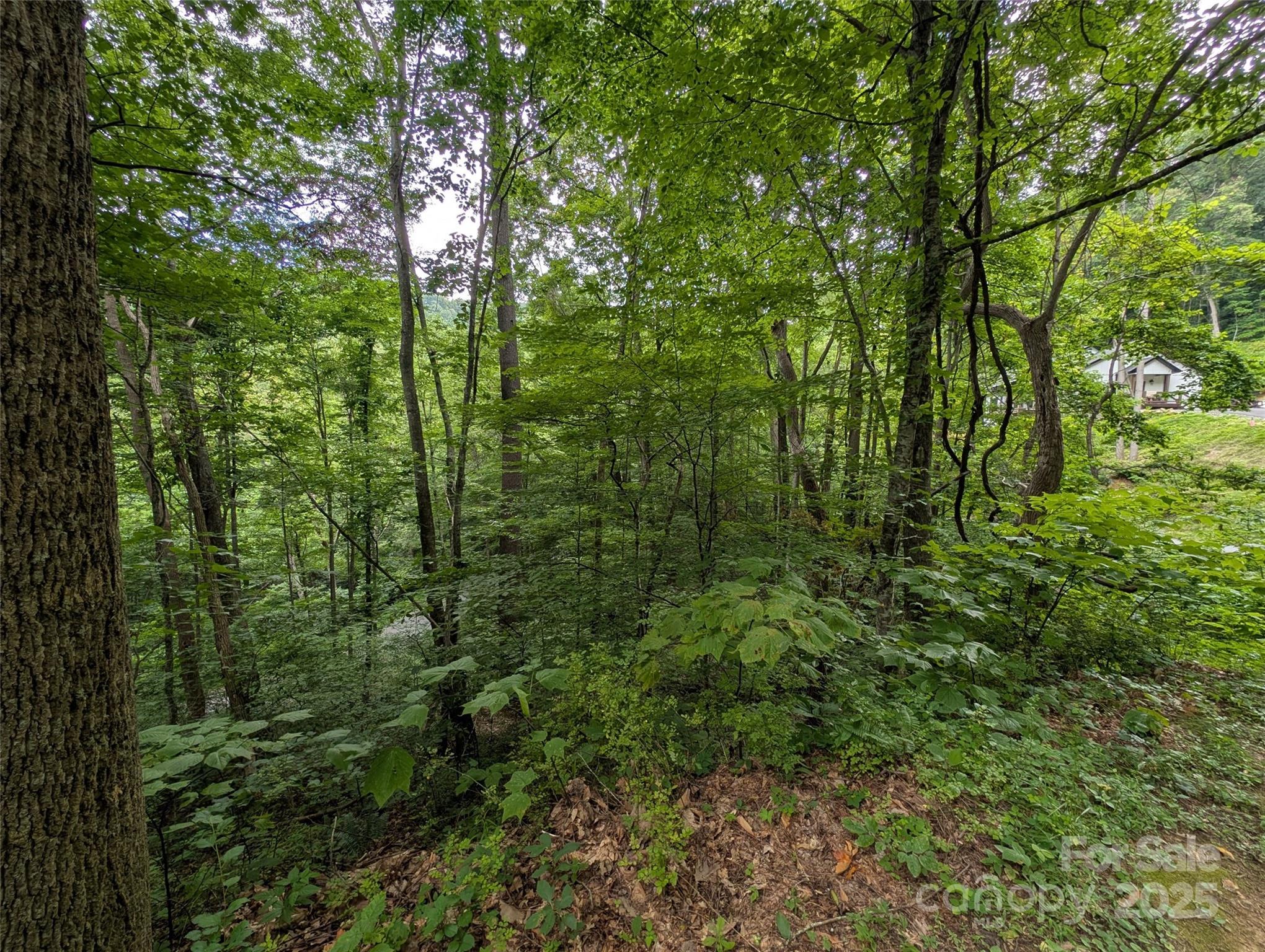99999 Whispering Woods Path 44