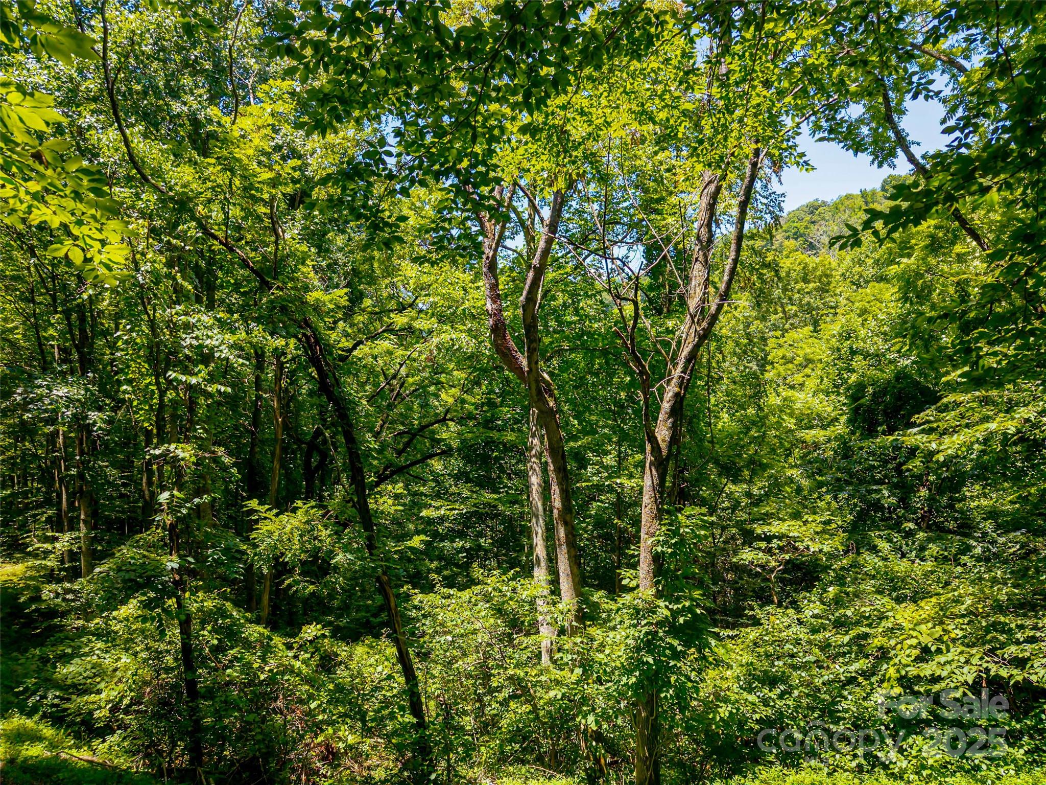 99999 Whispering Woods Path 44