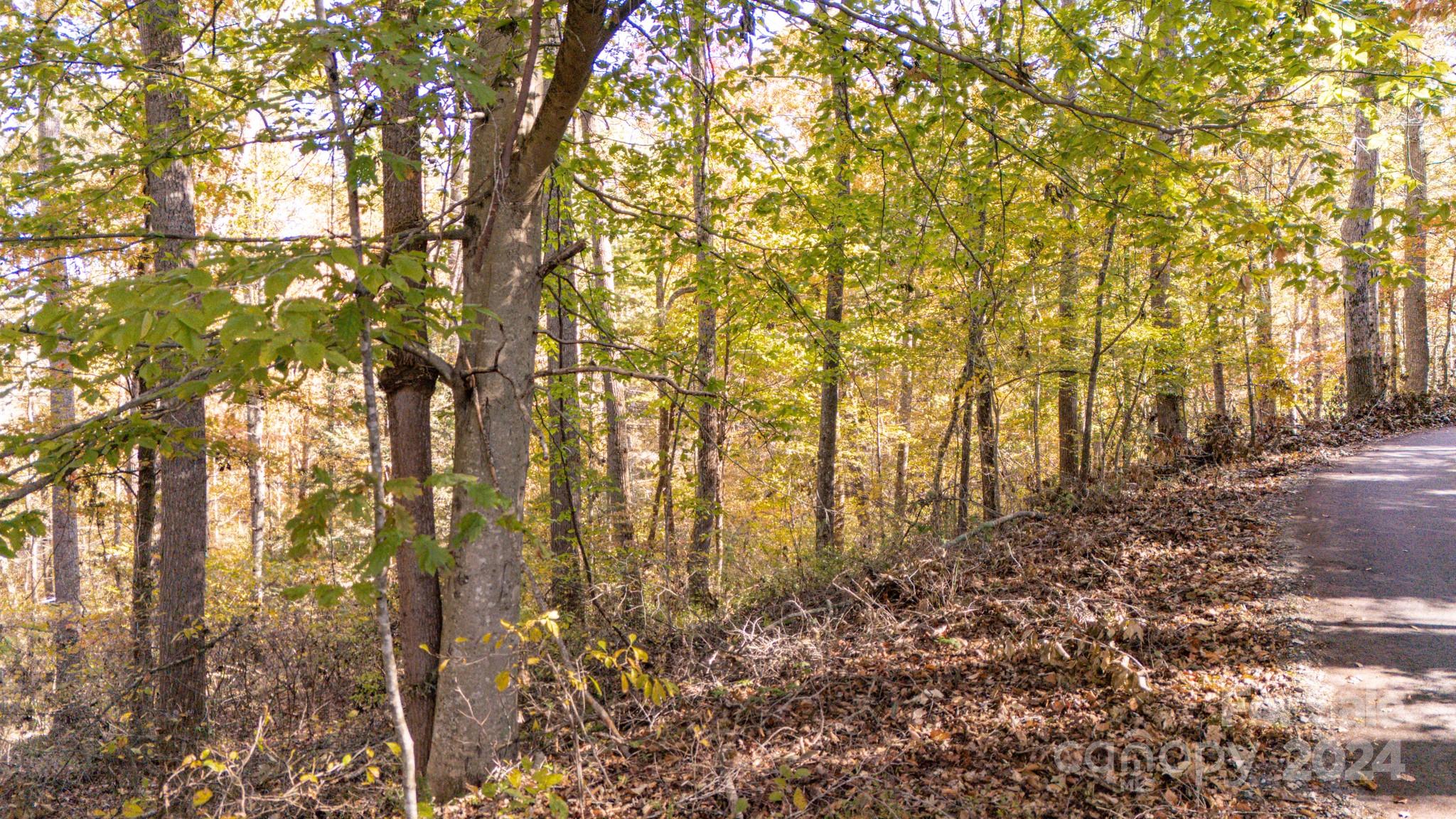 North Pinnacle - Land