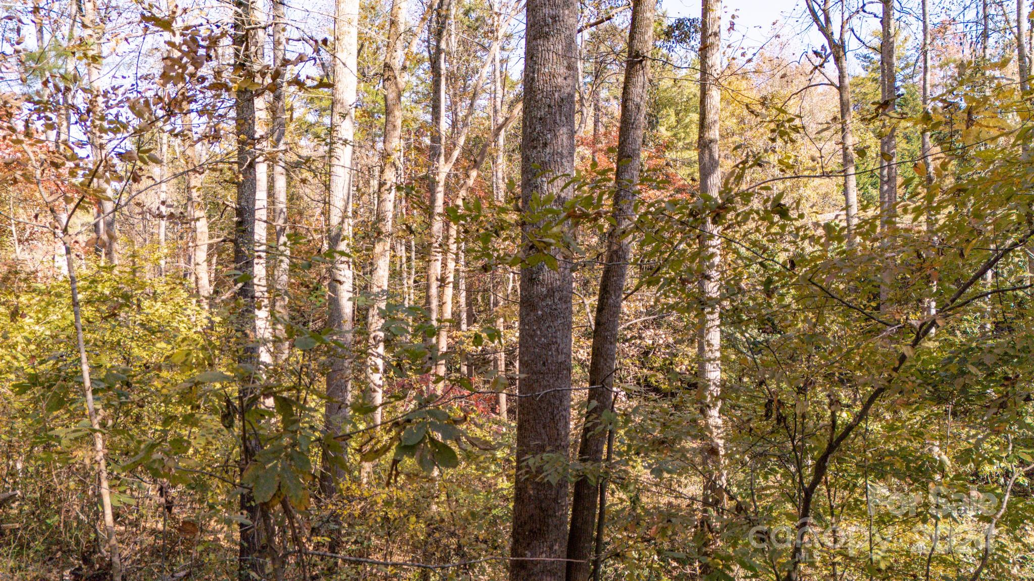 North Pinnacle - Land