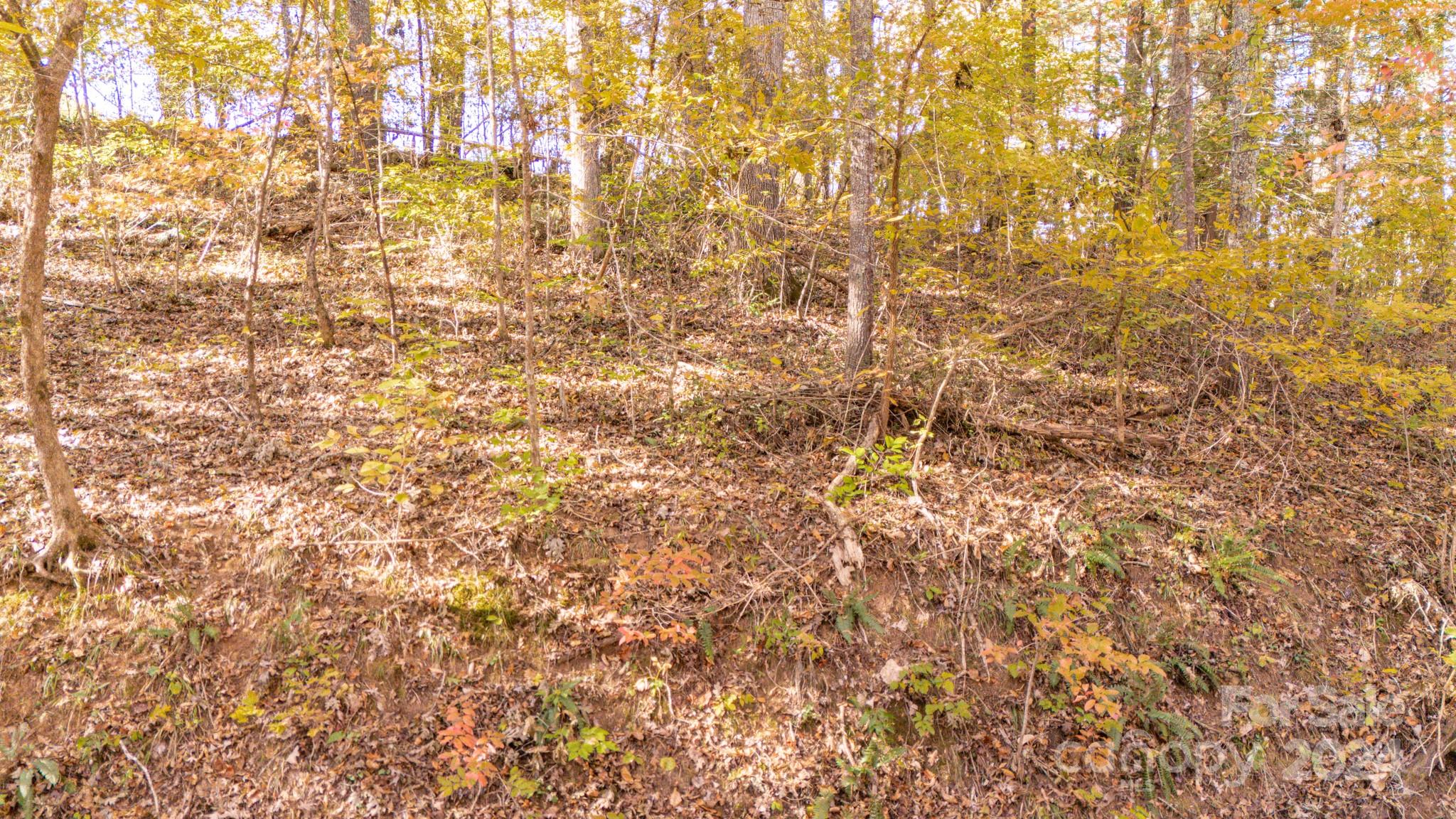 North Pinnacle - Land