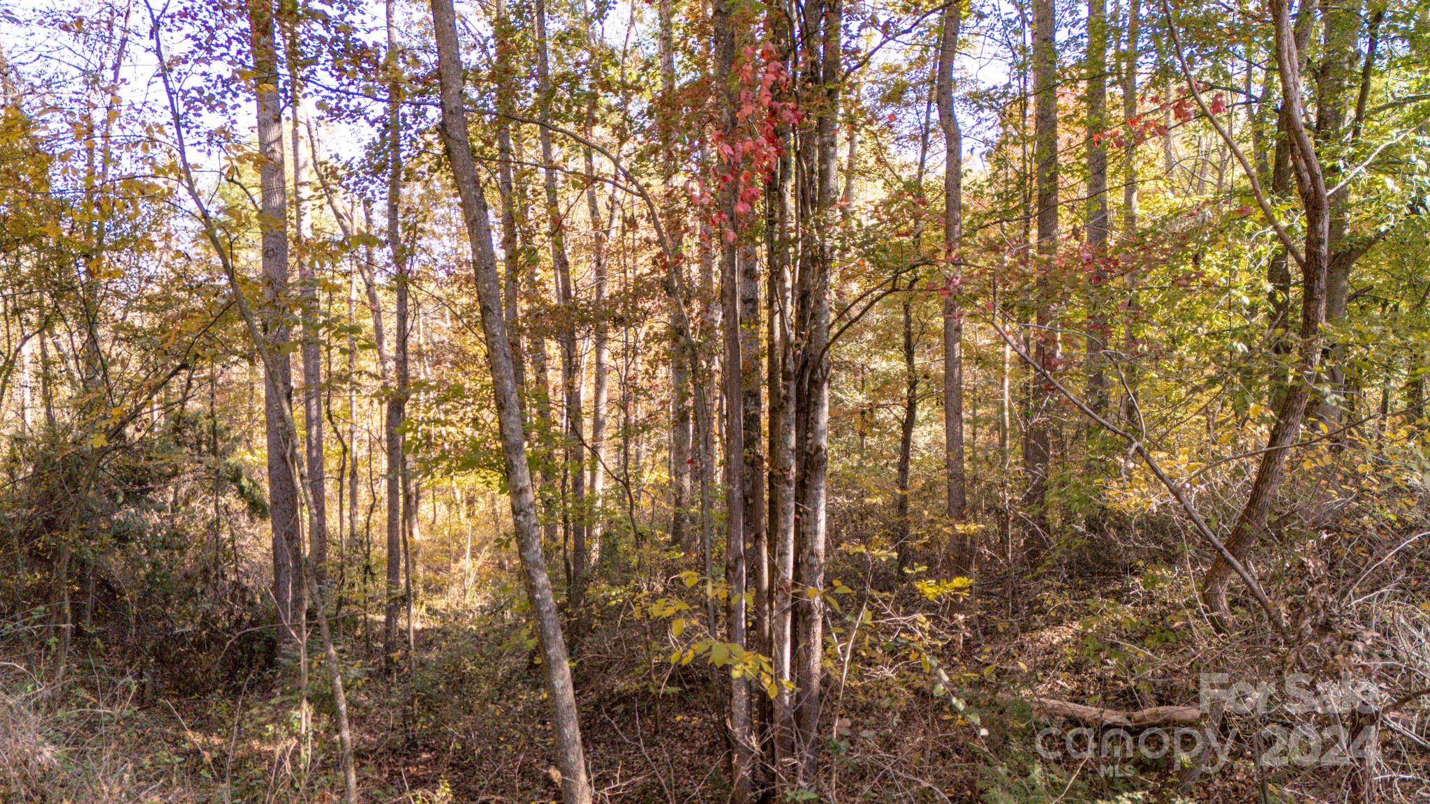 00 N Pinnacle Drive 3