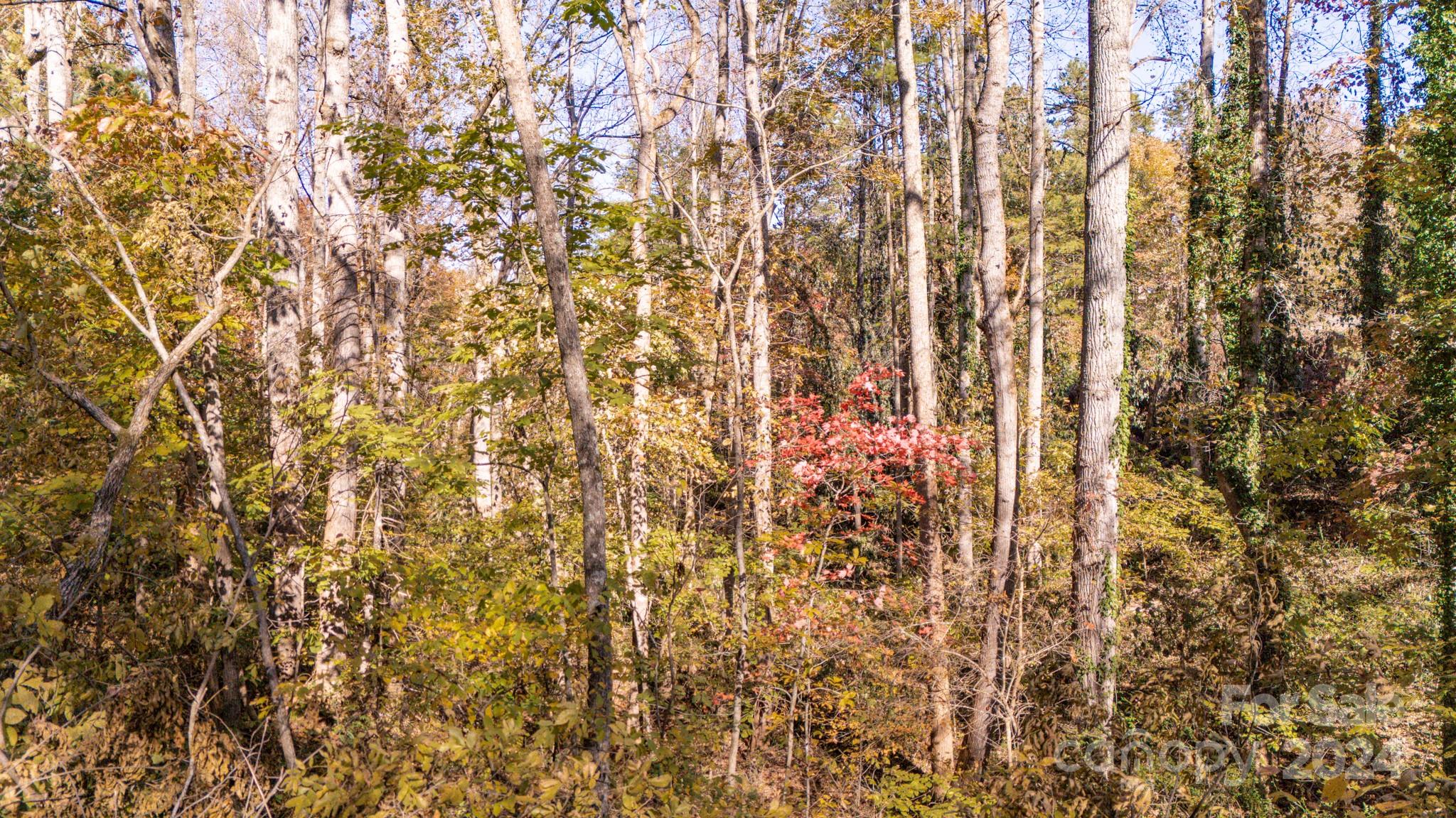 North Pinnacle - Land