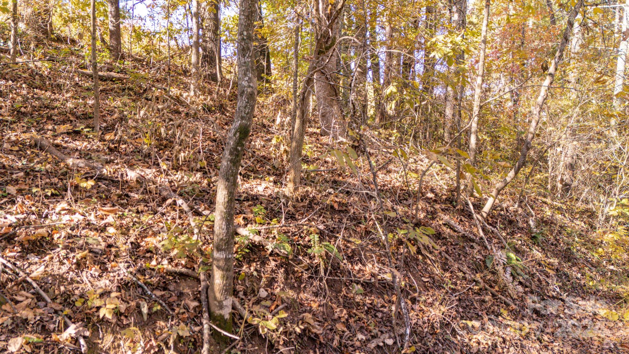 North Pinnacle - Land