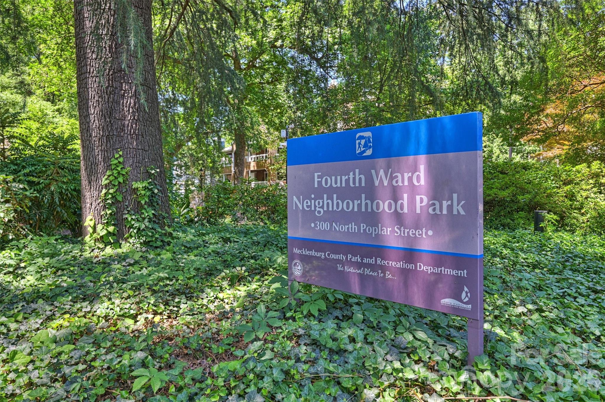 Hackberry Court - Residential