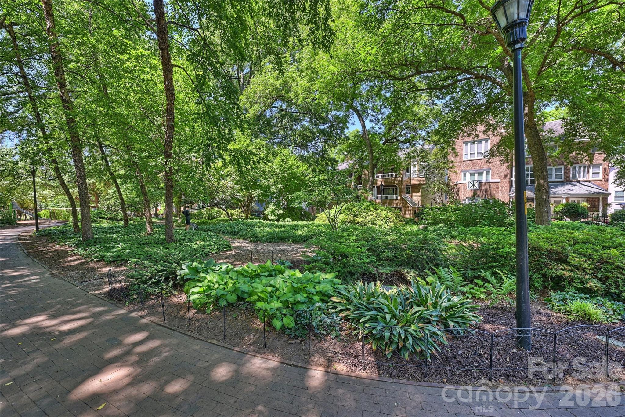 Hackberry Court - Residential