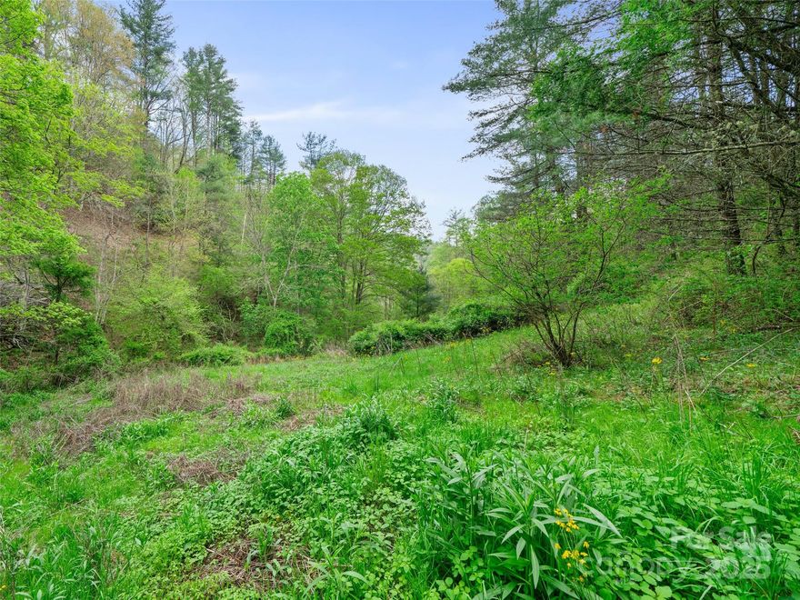 PRICE IMPROVEMENT! Escape to the peace and quiet of your own private retreat. Held within the same family for over a century, this special piece of land is rich in history and natural beauty. Mature timber creates a lush canopy, while creek frontage adds charm and tranquility. The property is partially fenced and bordered on one side by U.S. Forest Service land, offering unparalleled privacy and direct access to nature. Whether you're dreaming of a secluded getaway, a homestead, or a legacy investment, this is a rare opportunity to own a slice of the past and shape your future.