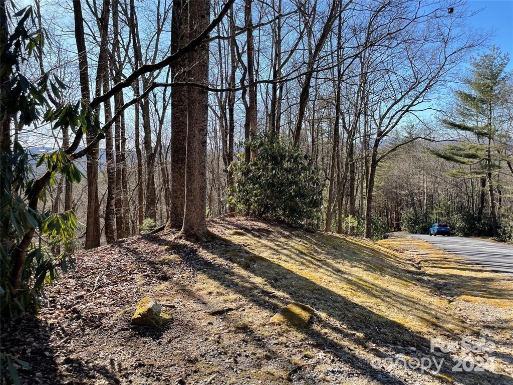 Connestee Falls - Land