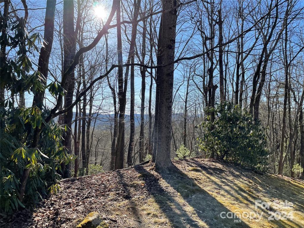 Connestee Falls - Land