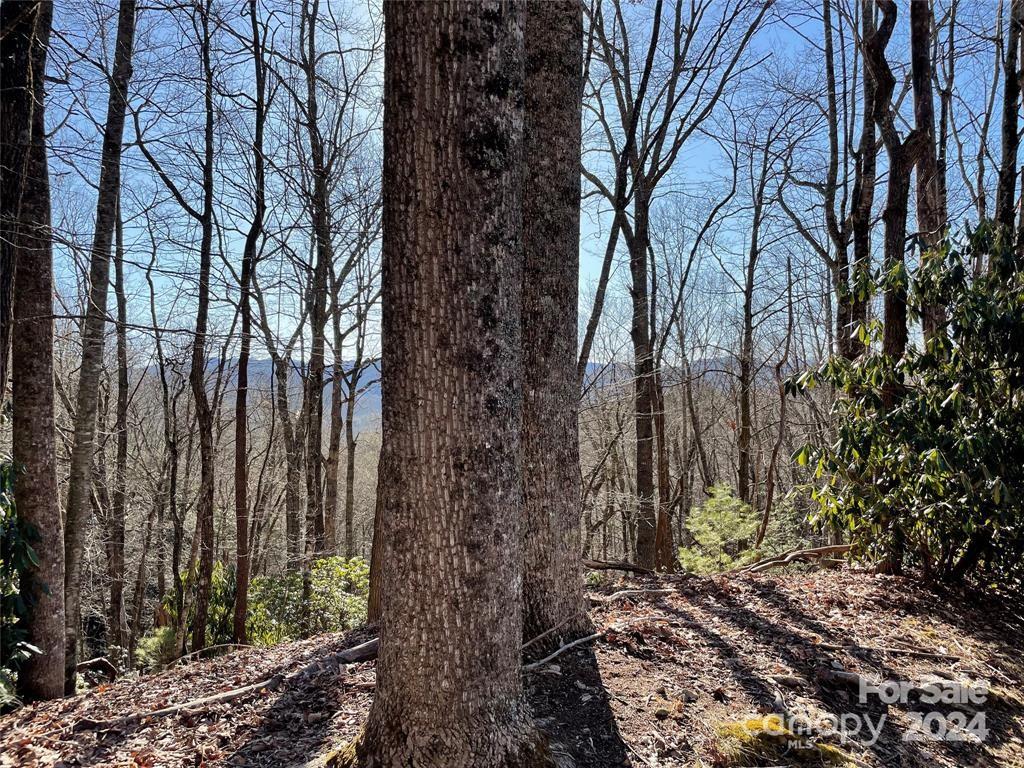 Connestee Falls - Land