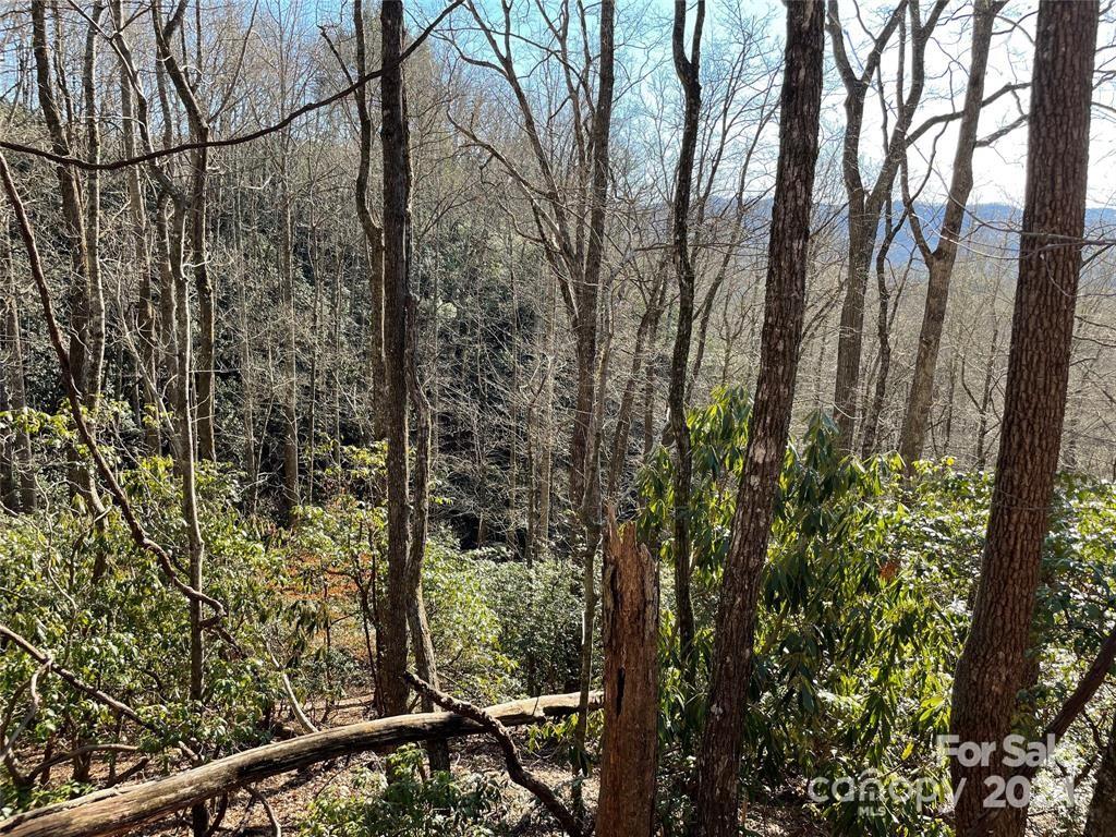 Connestee Falls - Land