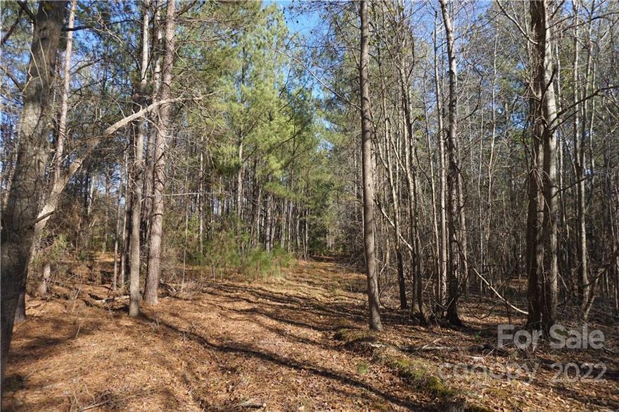 Beautiful wooded tract of land in Chester County.  The property has a very nice build site on top of a hill surrounded by several nice oak trees.  The property is very private and has a nice rolling topo.  Small creek runs along the back property line. There is a great mixture of pines and hardwood trees on the property.  Easy access to I-77 makes this a great area for commuting to Charlotte, Rock Hill, or even Columbia.
