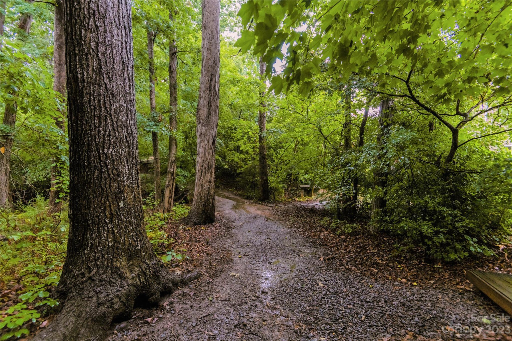 Lake Forest - Residential