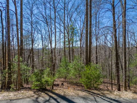 132 Overlook Park Drive 51 Hendersonville NC 28792