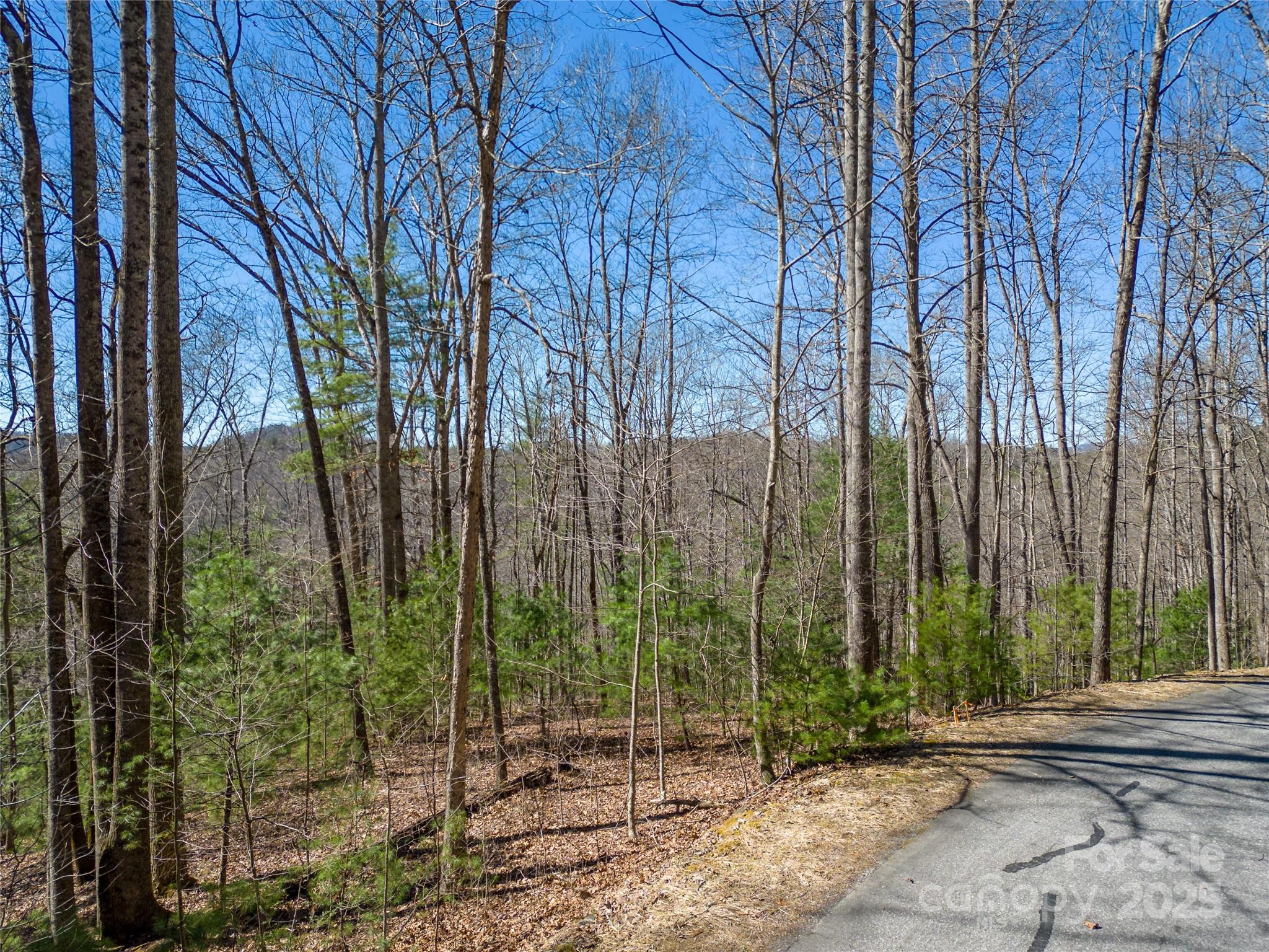 132 Overlook Park Drive 51