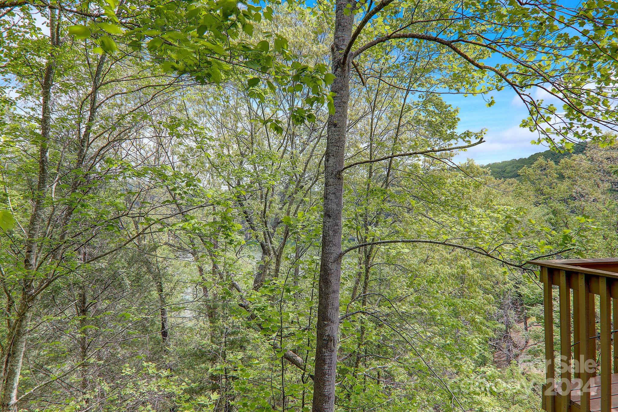 Rumbling Bald on Lake Lure - Residential