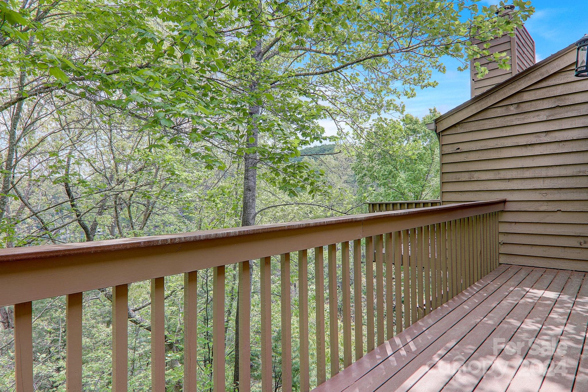 Rumbling Bald on Lake Lure - Residential