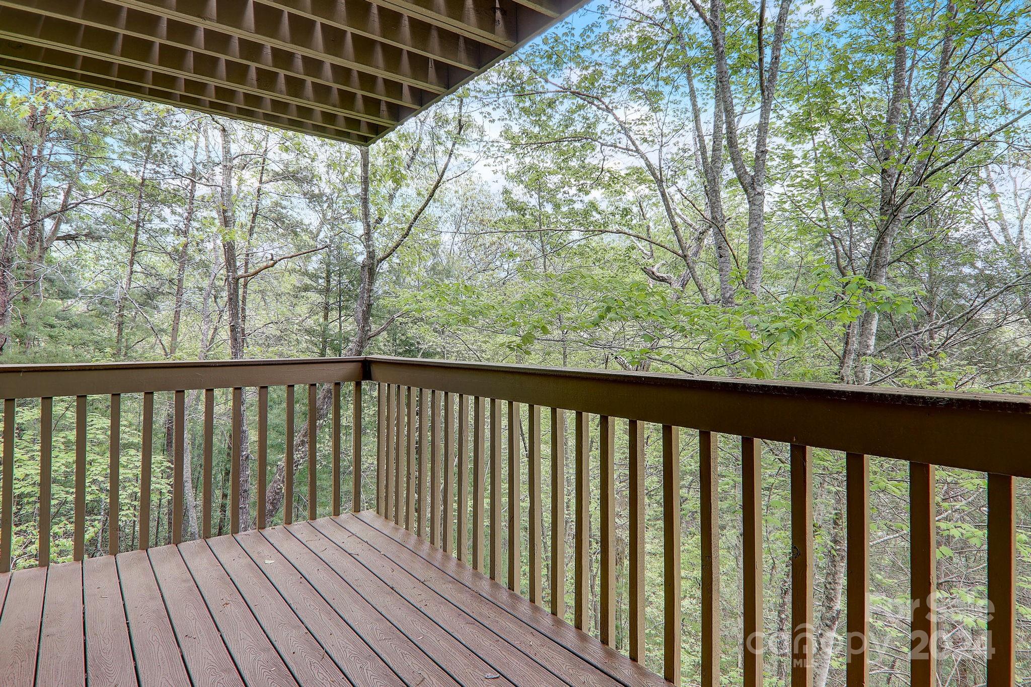 Rumbling Bald on Lake Lure - Residential