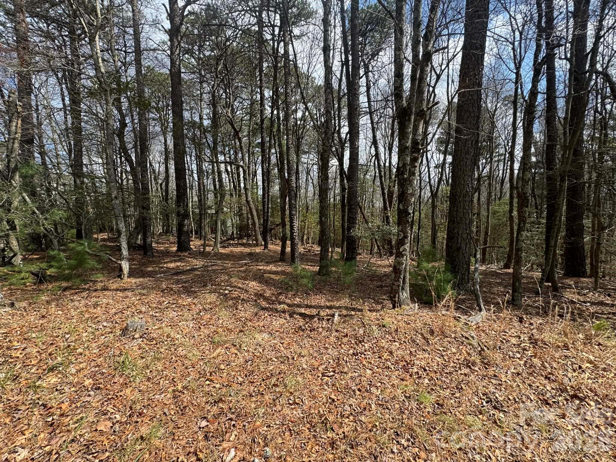 TBD Ward Circle Drive 33