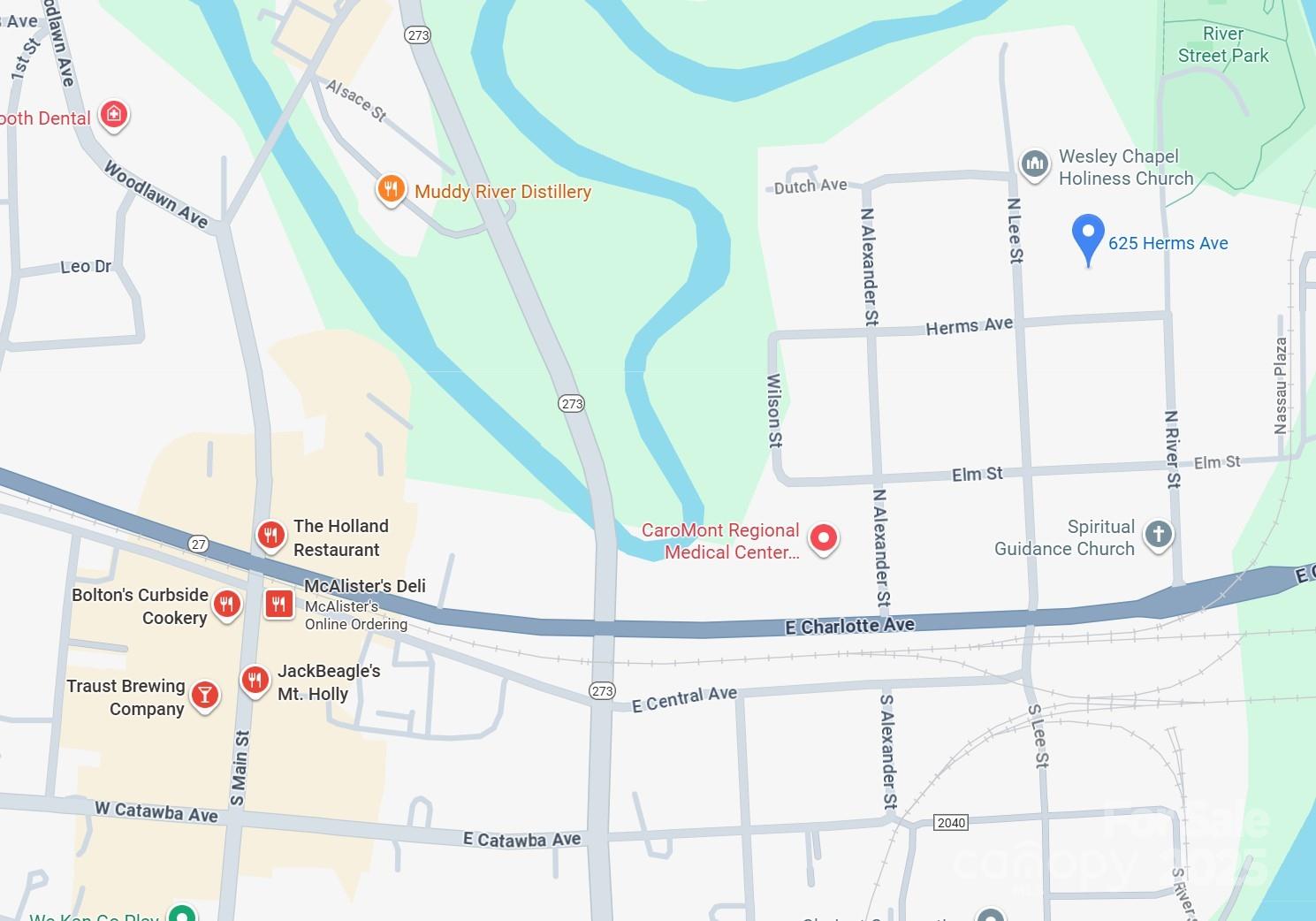 Main image without alt text