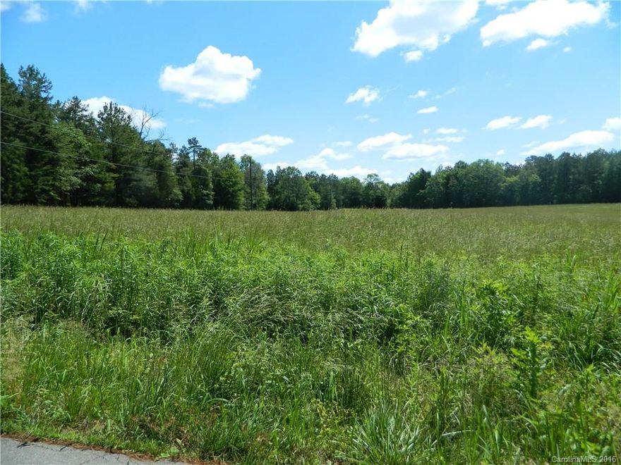 Beautiful partially wooded lot in Indian Land. Bring your own builder. No HOA! Buyer to have perk test. Buyer to purchase tap for county water and natural gas.