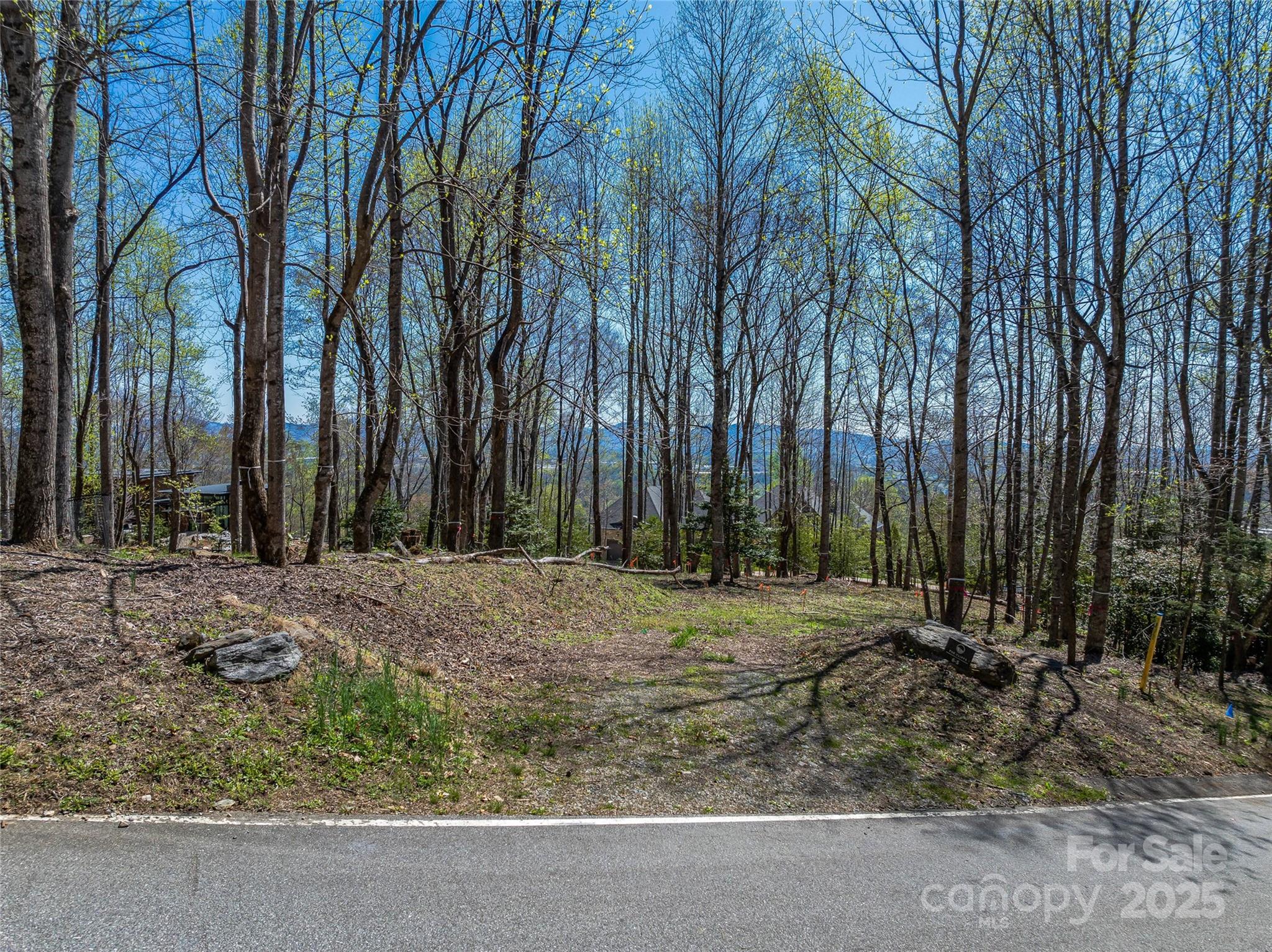 96 Split Rock Trail 5