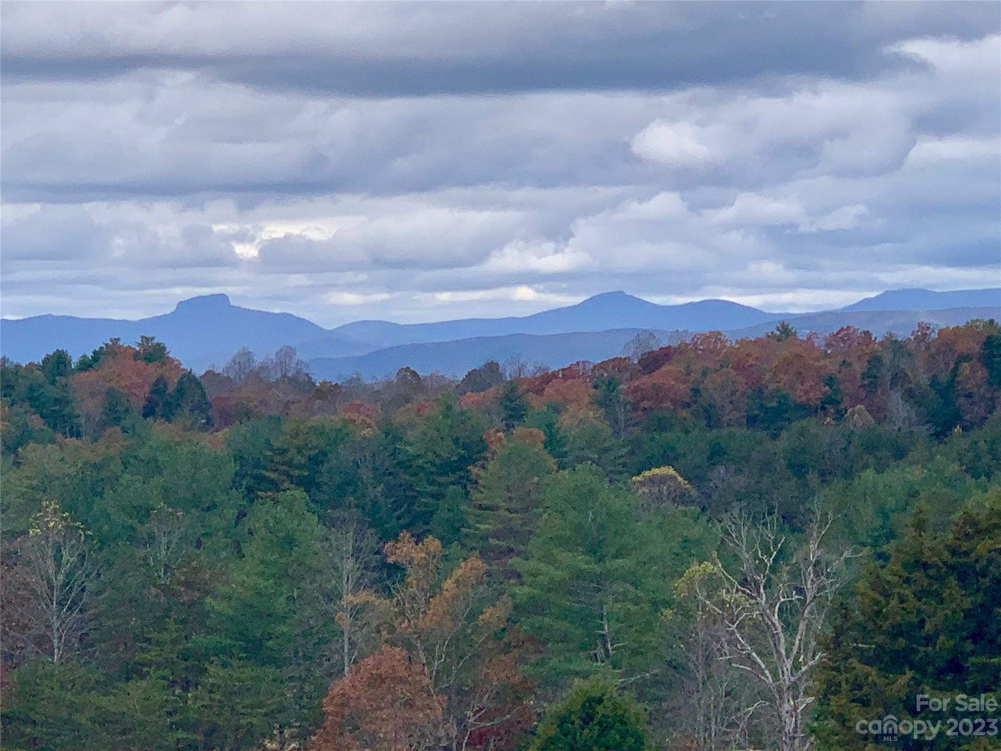 The Coves Mountain River Club - Land