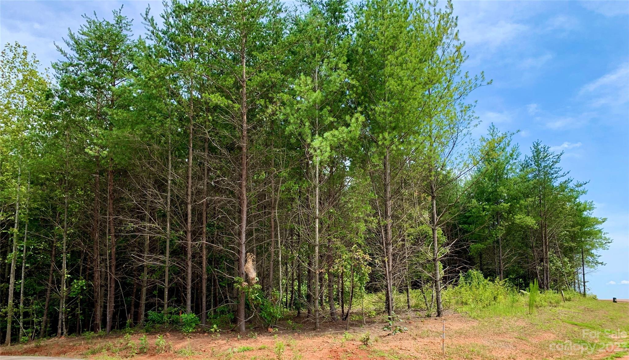 2.35 acres, Lot G49, 2069 Hitching Post Trail G49