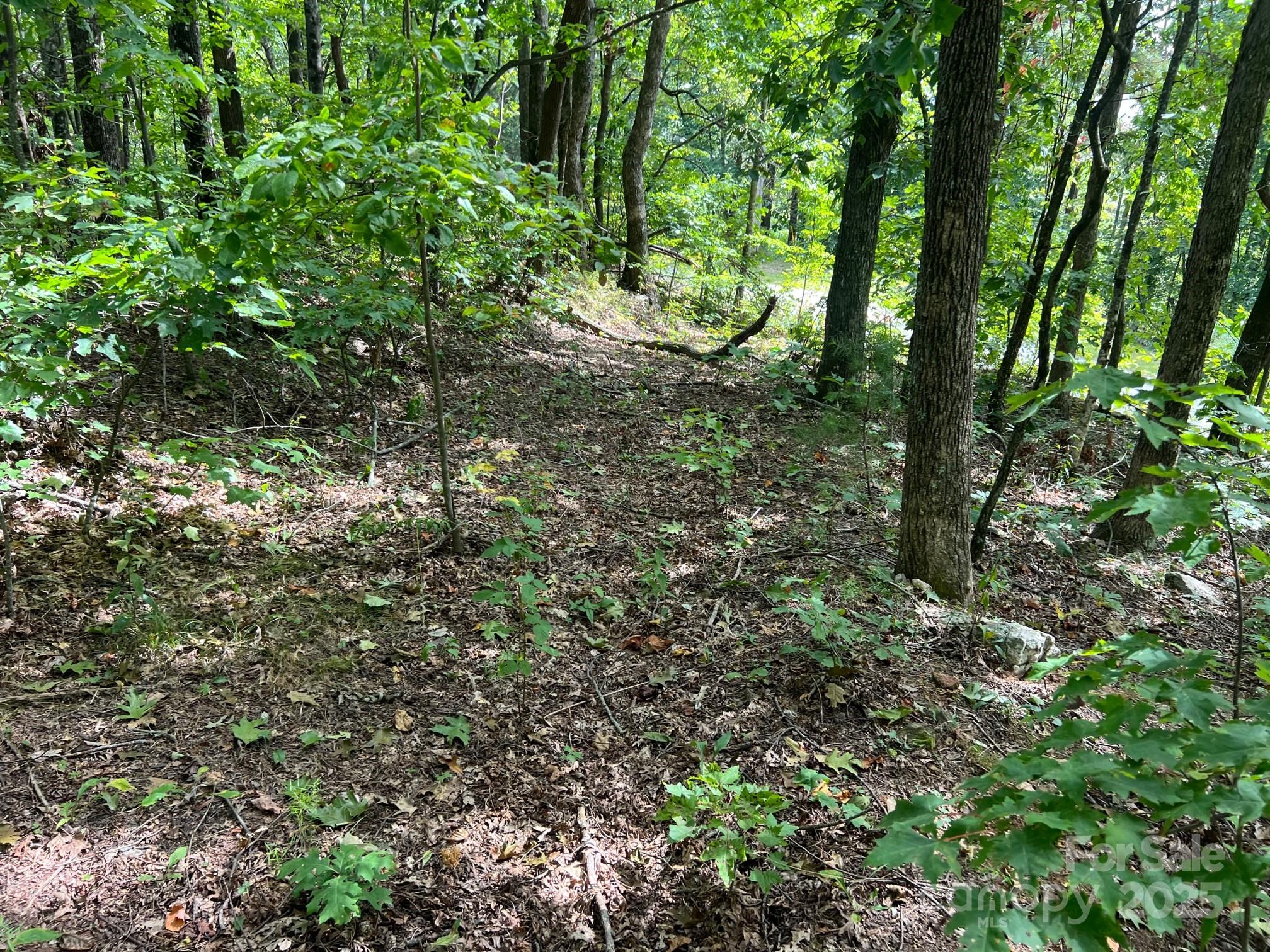 6792 Silver Creek Lane