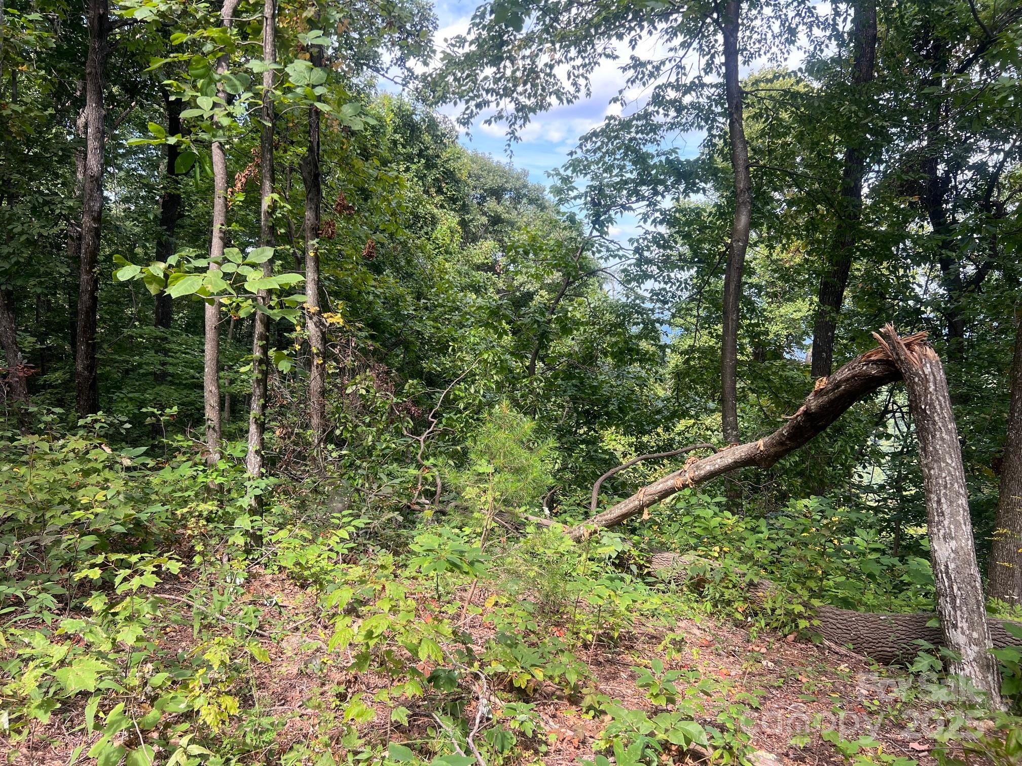 6792 Silver Creek Lane