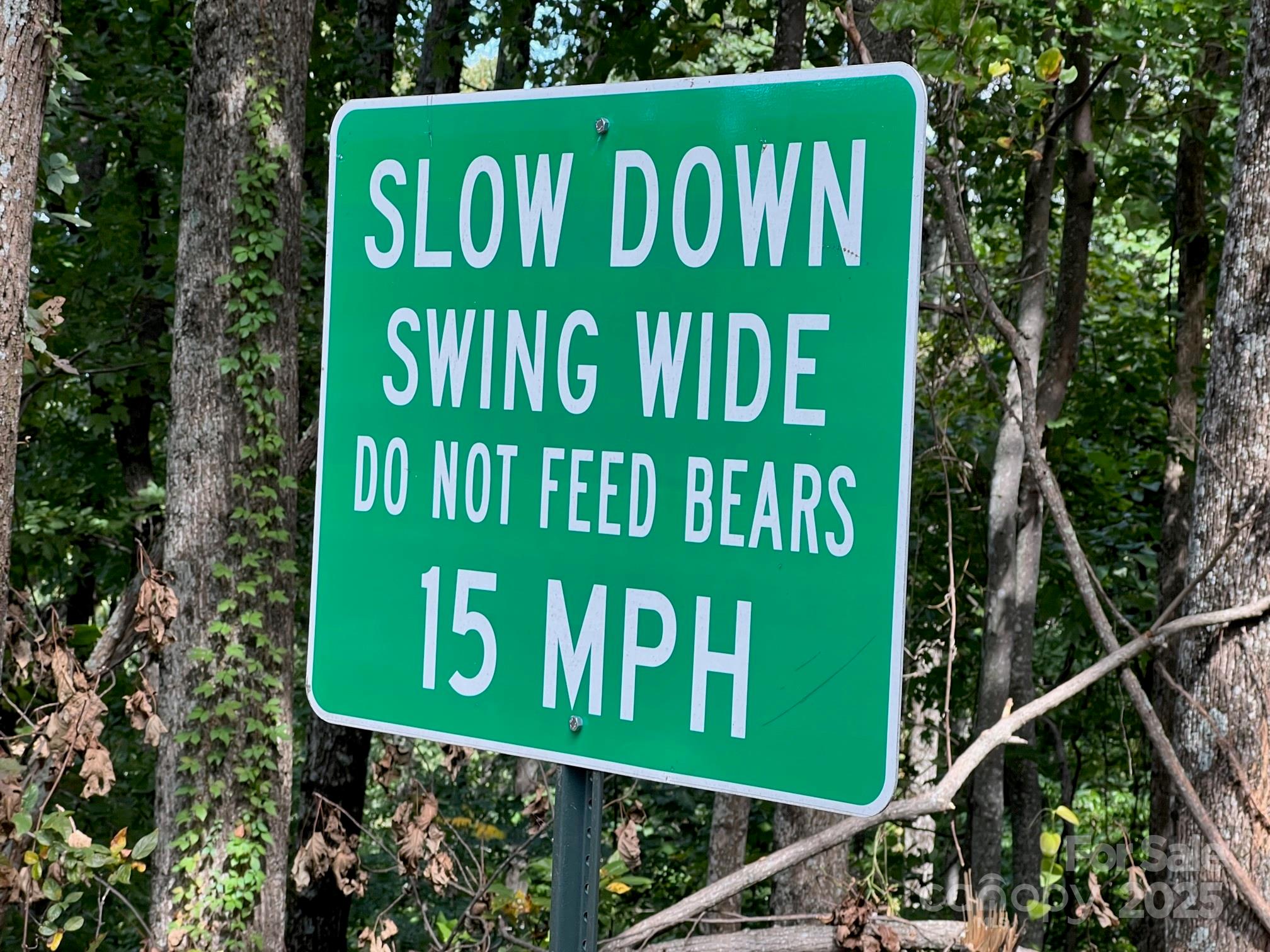 Silver Creek Springs - Land