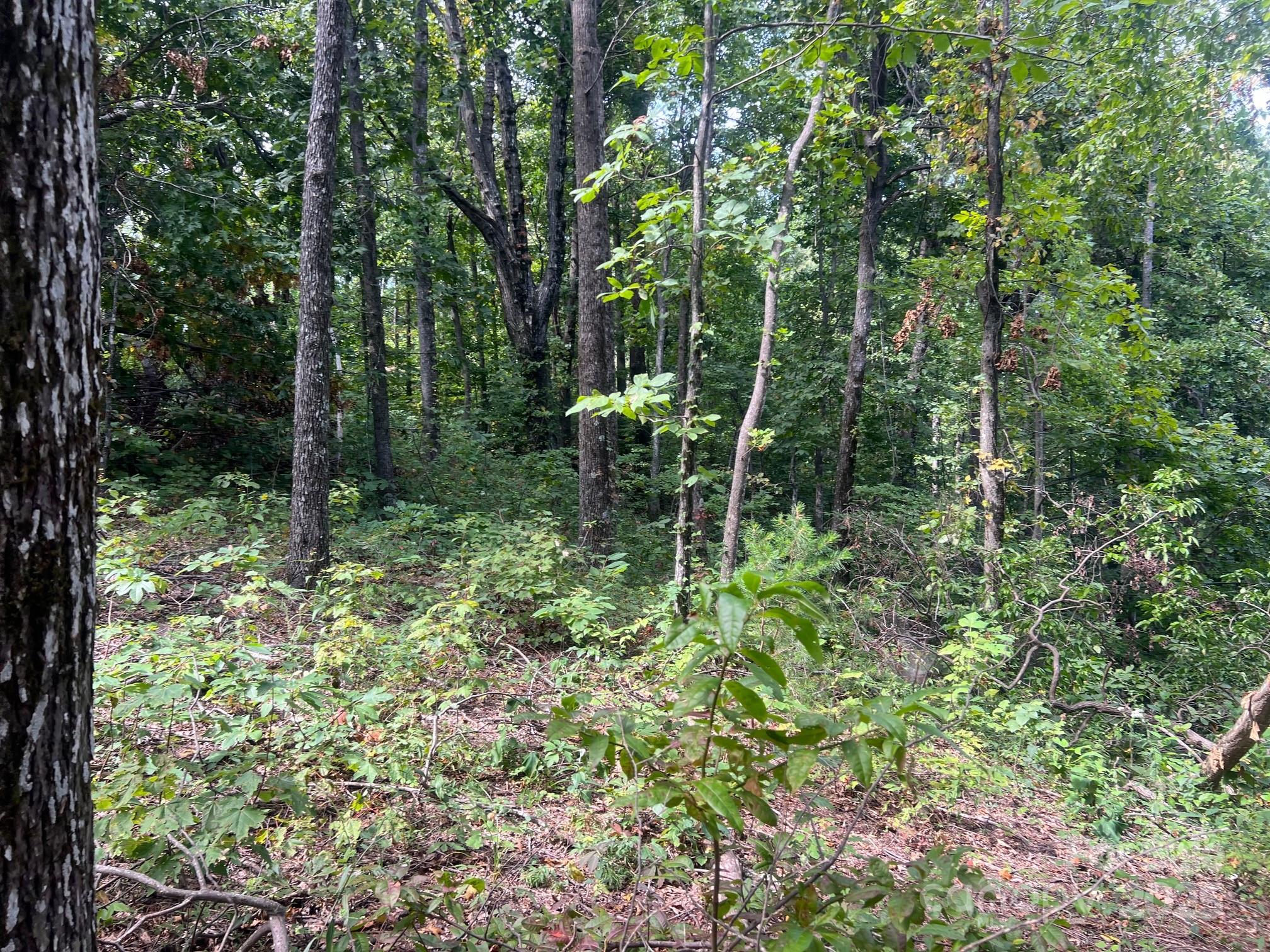 6792 Silver Creek Lane