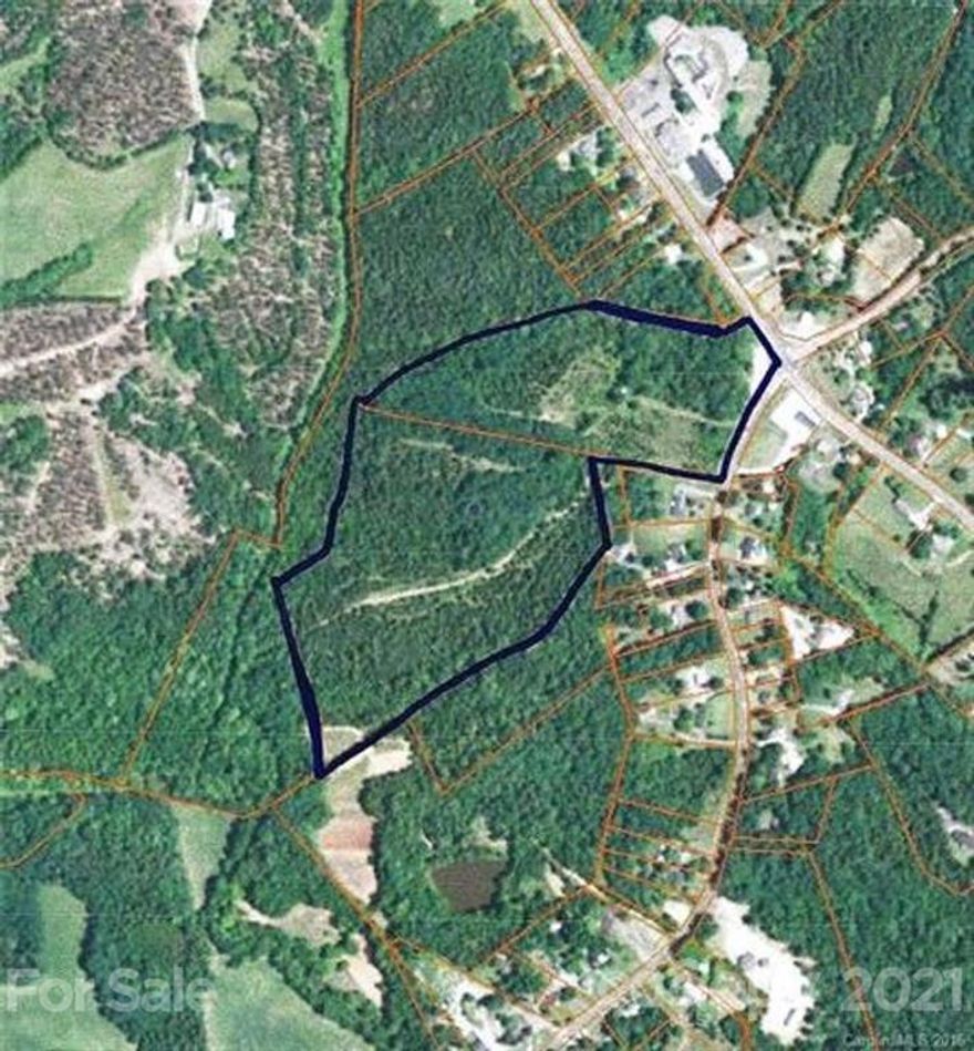 Approximately 46+/- acres at corner of Flowes Store Rd and Hwy 601. Buy 46 acresfor yourself or buy 105 acres to develop! Two additional listings available to complete the 105 acres. Please contact listing agent to see current zoning in place and complete due diligence packet. These two parcels are currently in Forestry tax program. Buyer will pay 3 years back taxes because the property in the forestry deferred tax program. For tour of property please paste the following link in your browser:  https://youtu.be/5Kg8AVIMkr4