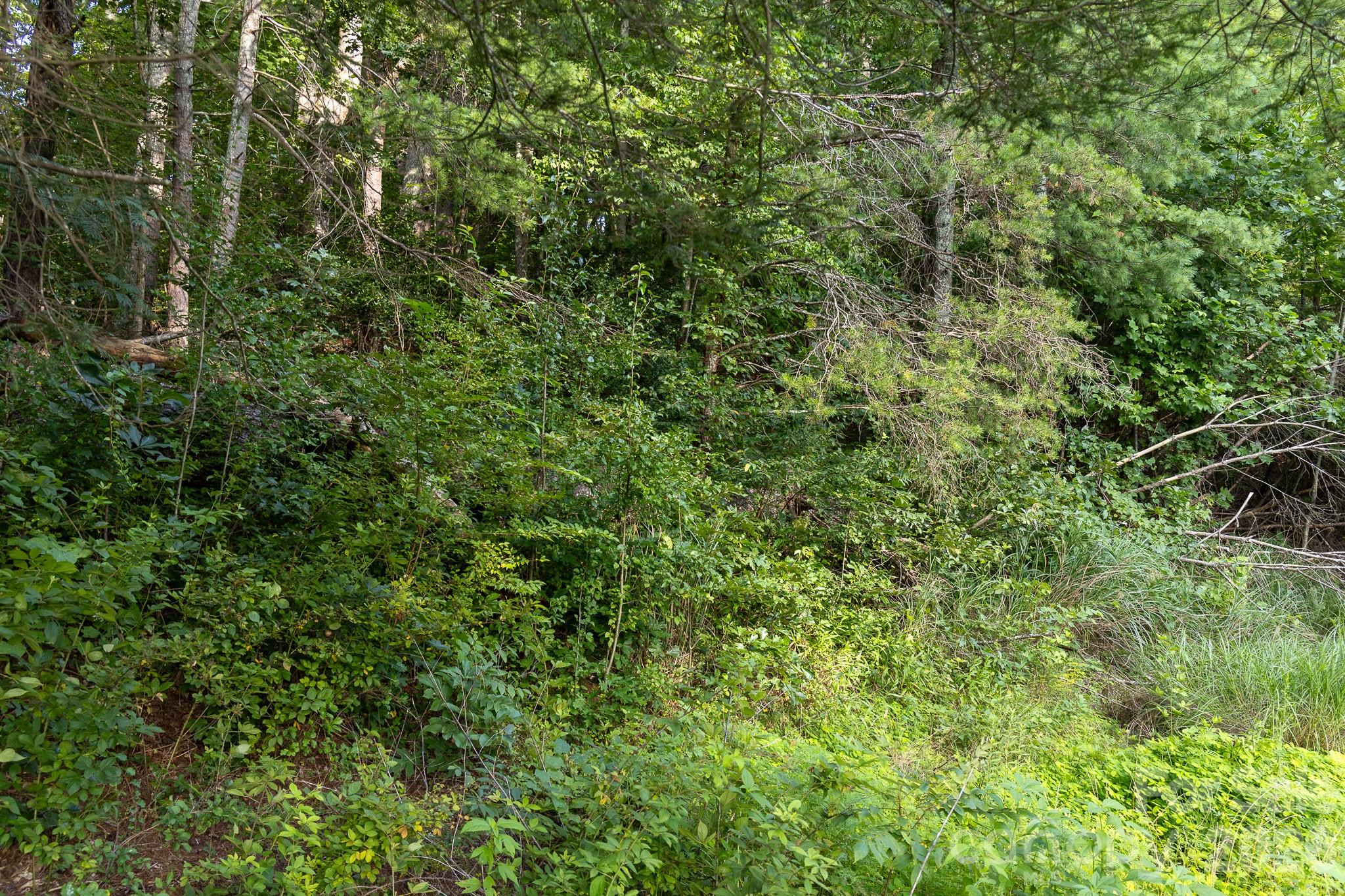 920 Mills Gap Road