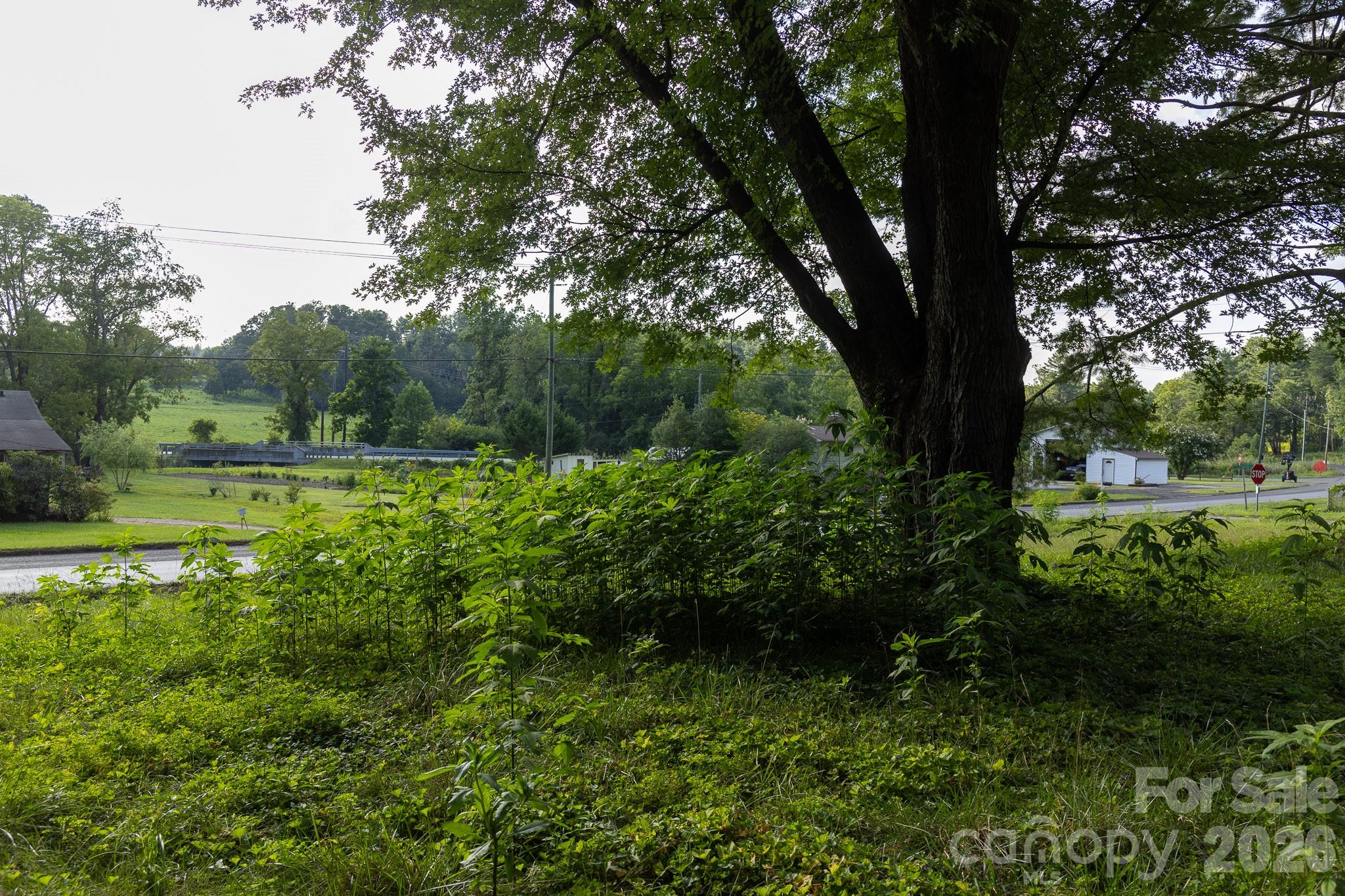 920 Mills Gap Road