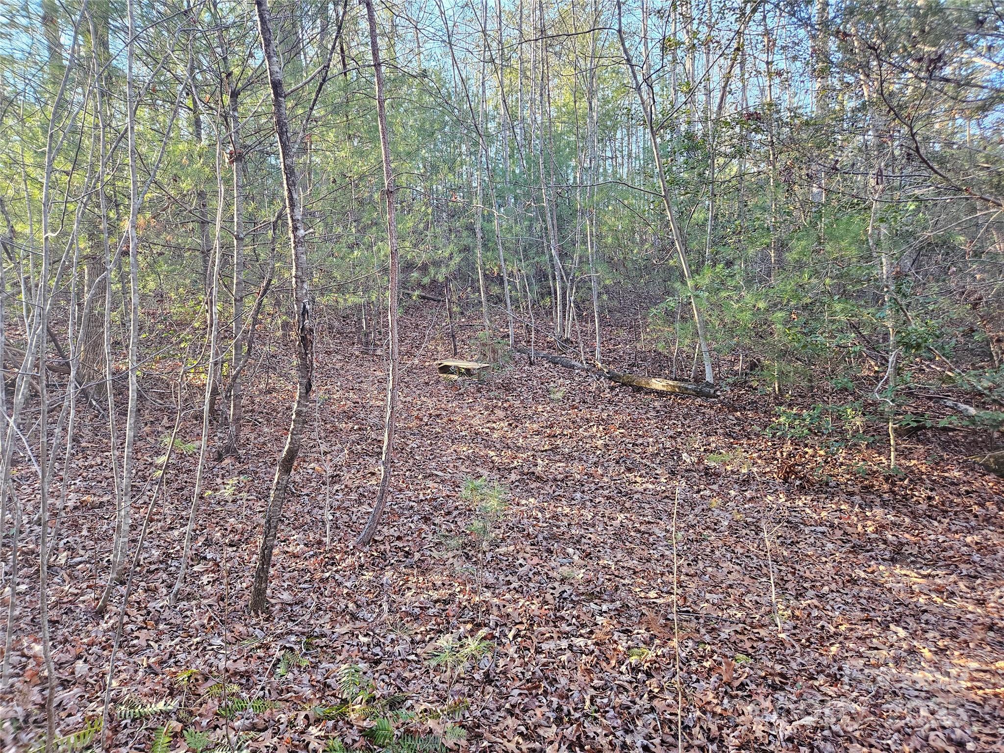 The Oaks at Hunters Ridge - Land