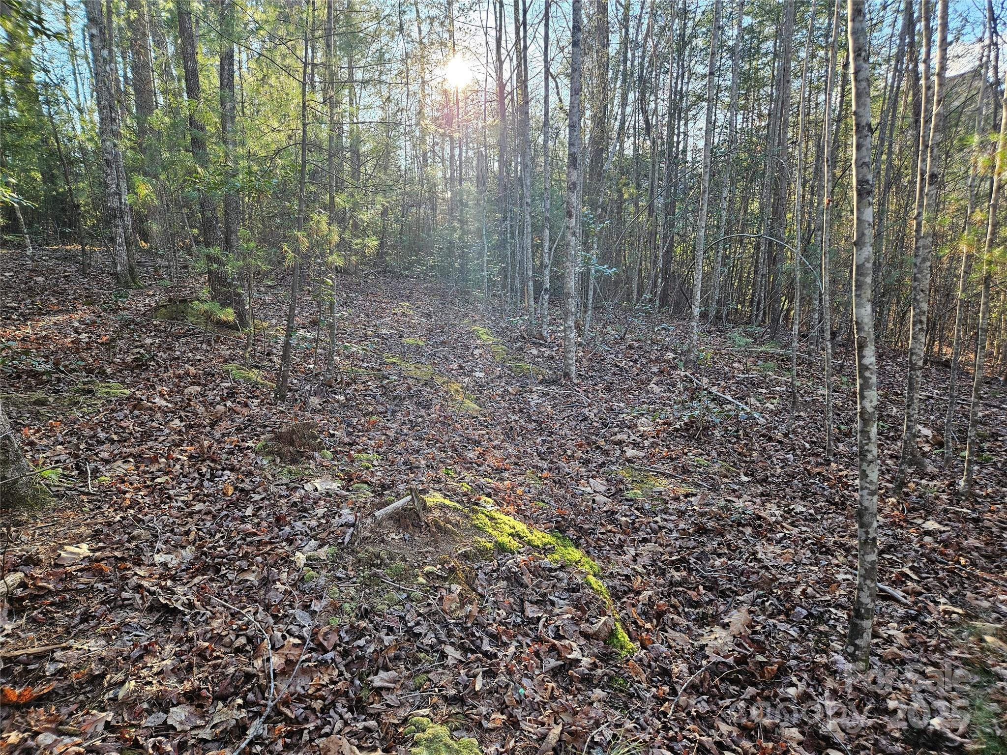 The Oaks at Hunters Ridge - Land