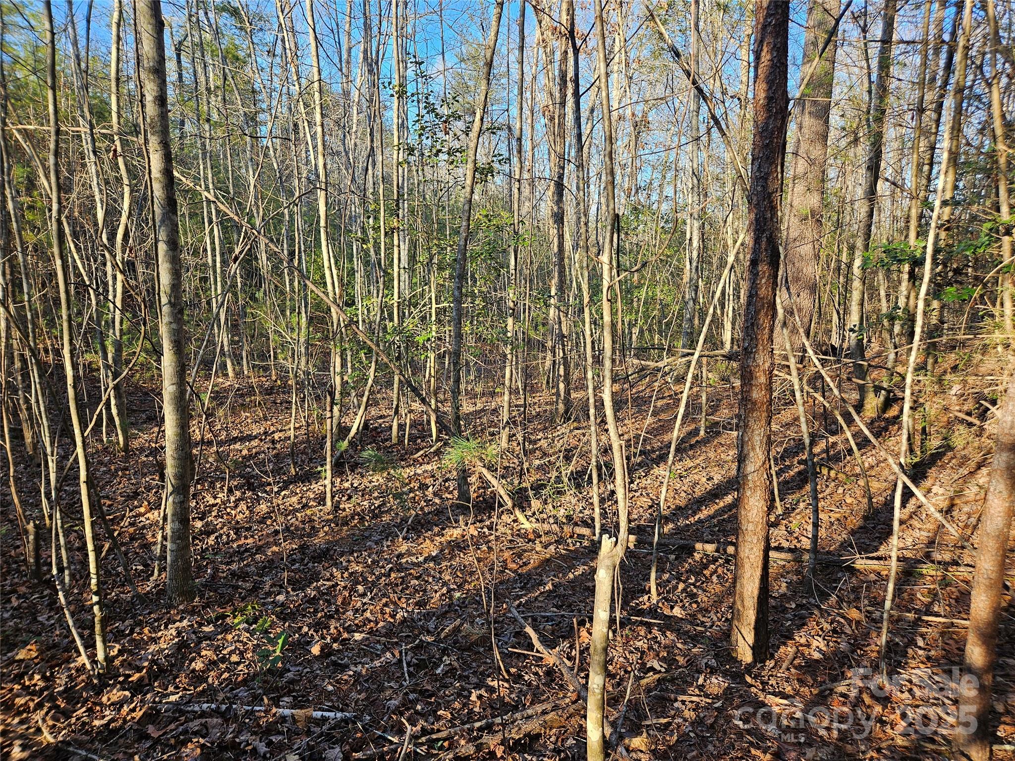 The Oaks at Hunters Ridge - Land